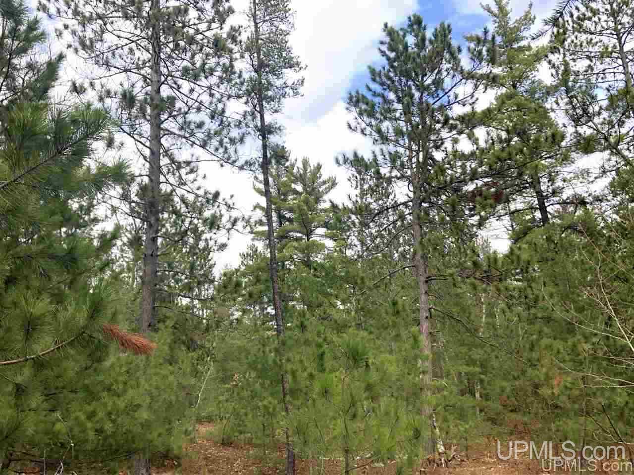 Tbd Valley Road Property Photo 38