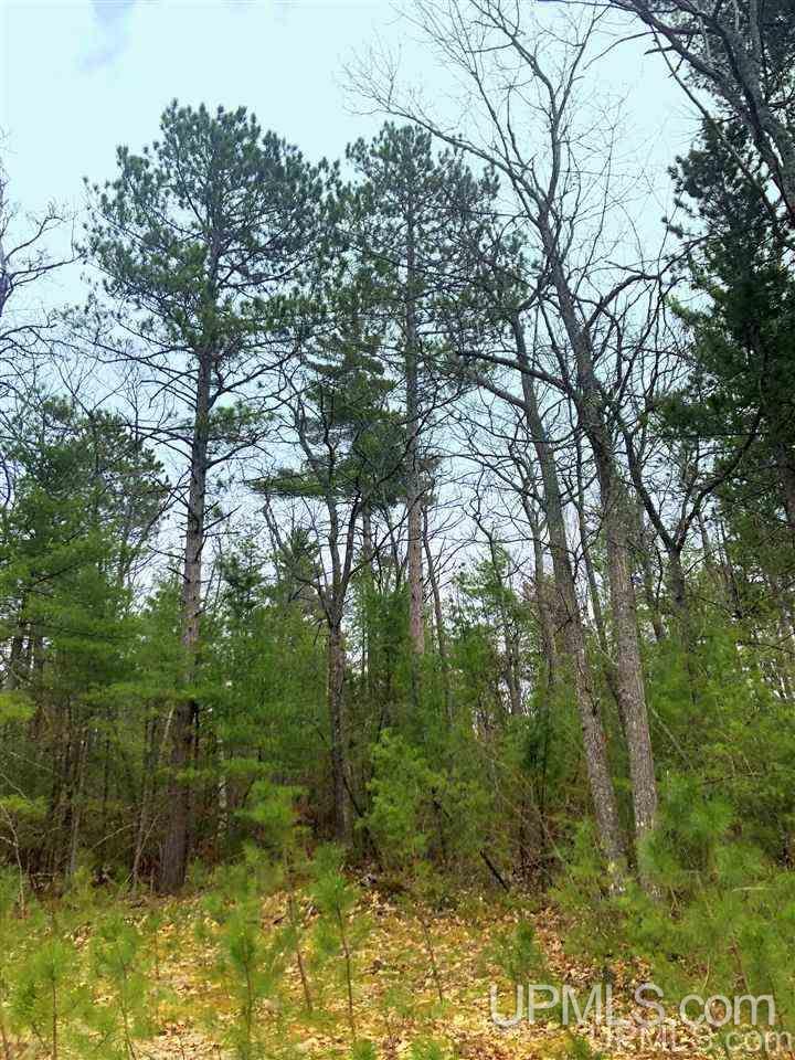 Tbd Valley Road Property Photo 40