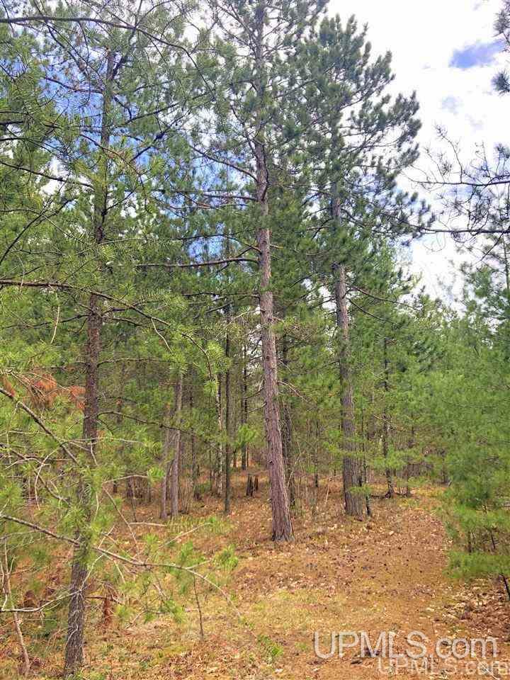 Tbd Valley Road Property Photo 41