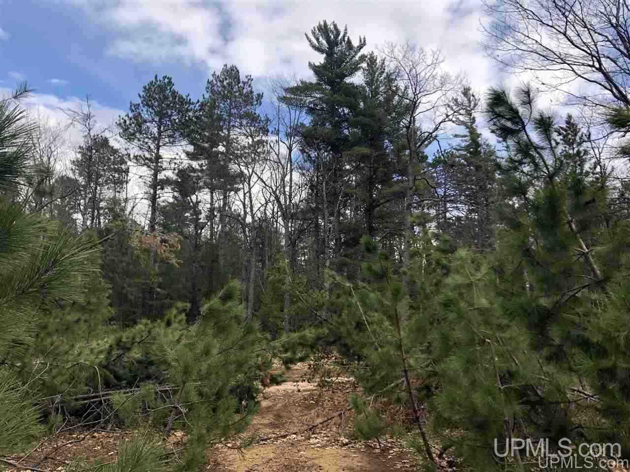 Tbd Valley Road Property Photo 42
