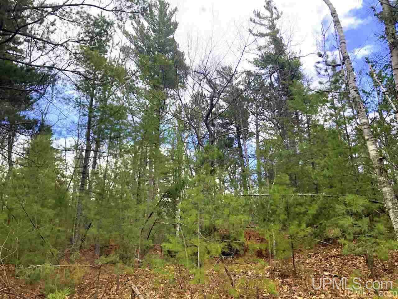 Tbd Valley Road Property Photo 43