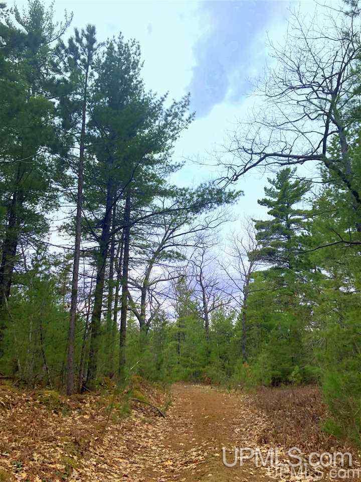 Tbd Valley Road Property Photo 44