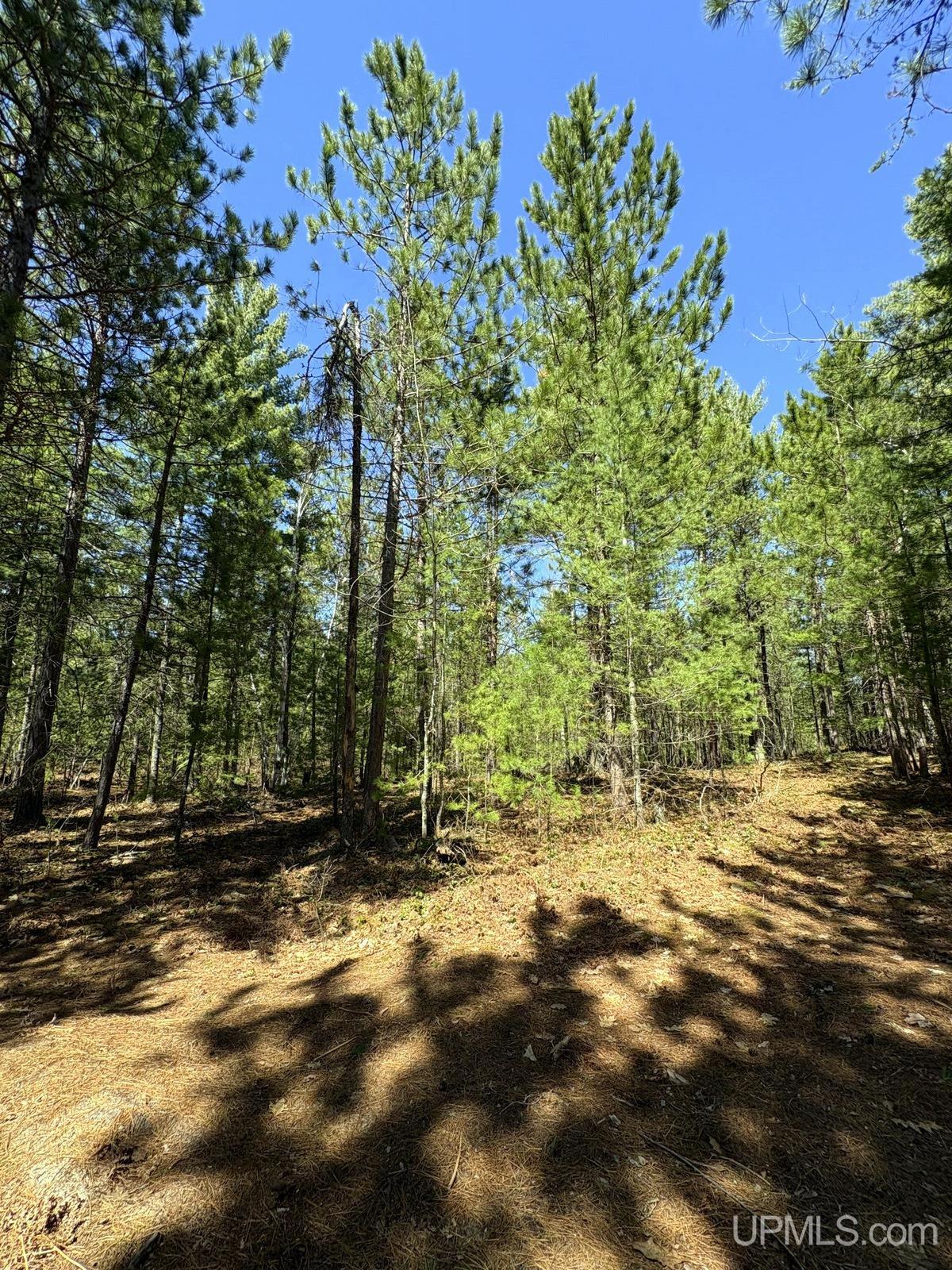 Tbd Valley Road Property Photo 50