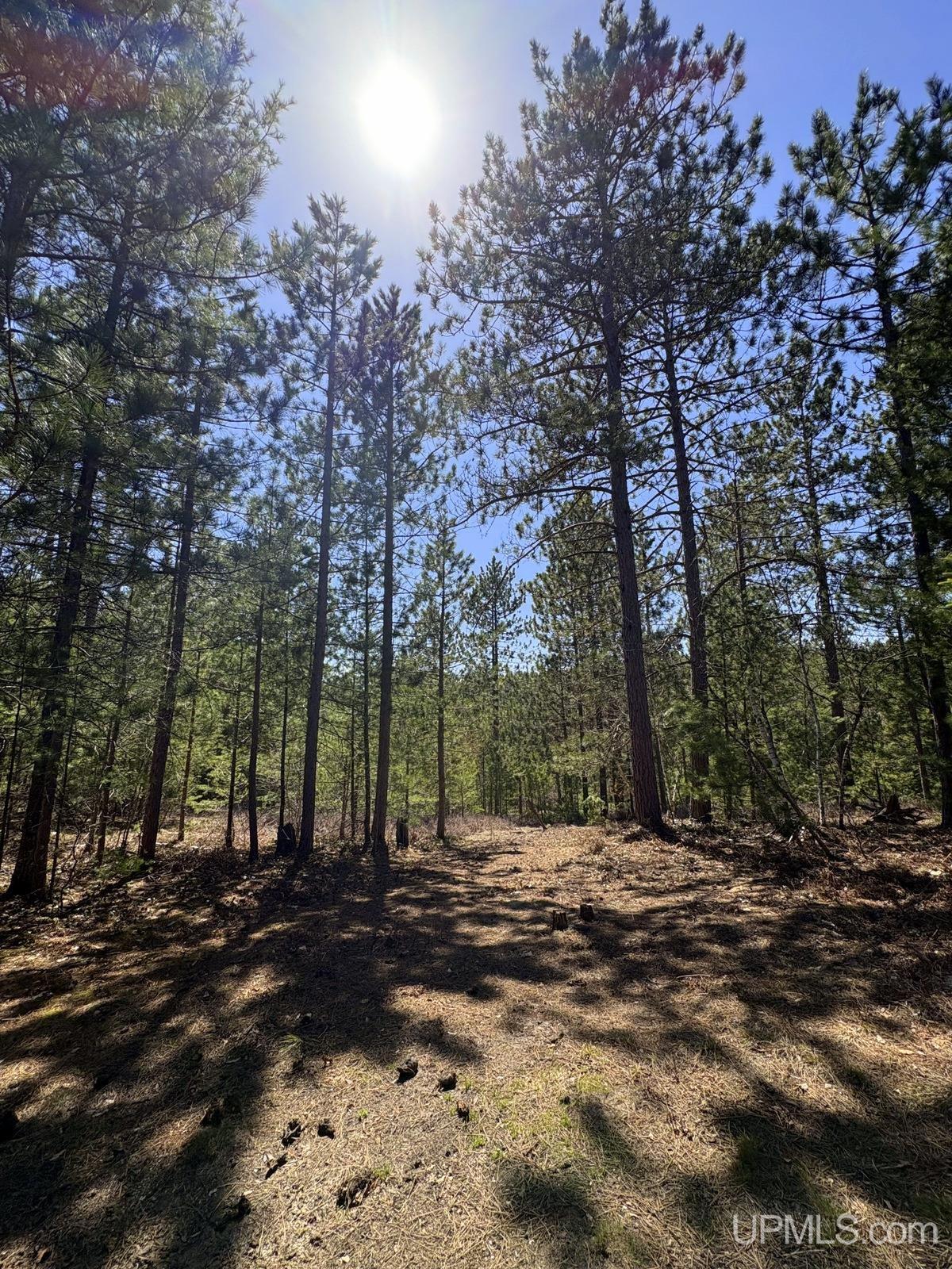 Tbd Valley Road Property Photo 51