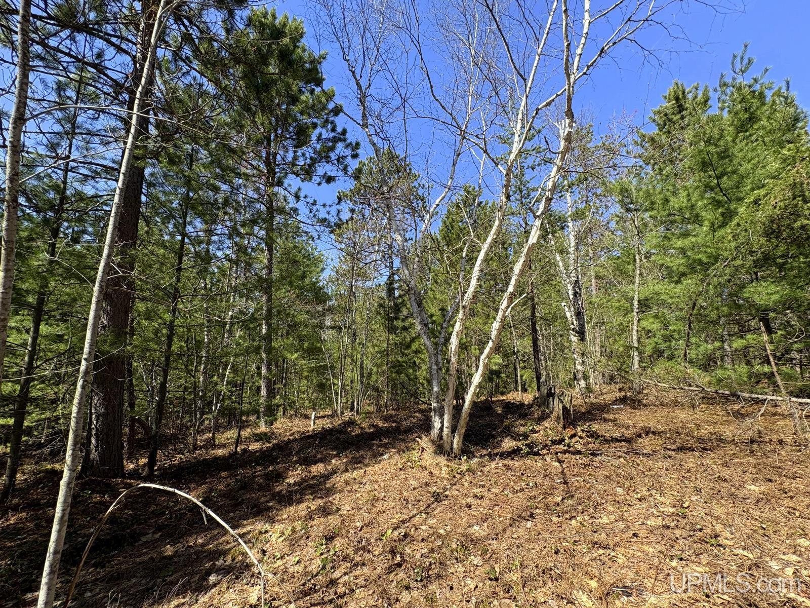 Tbd Valley Road Property Photo 52
