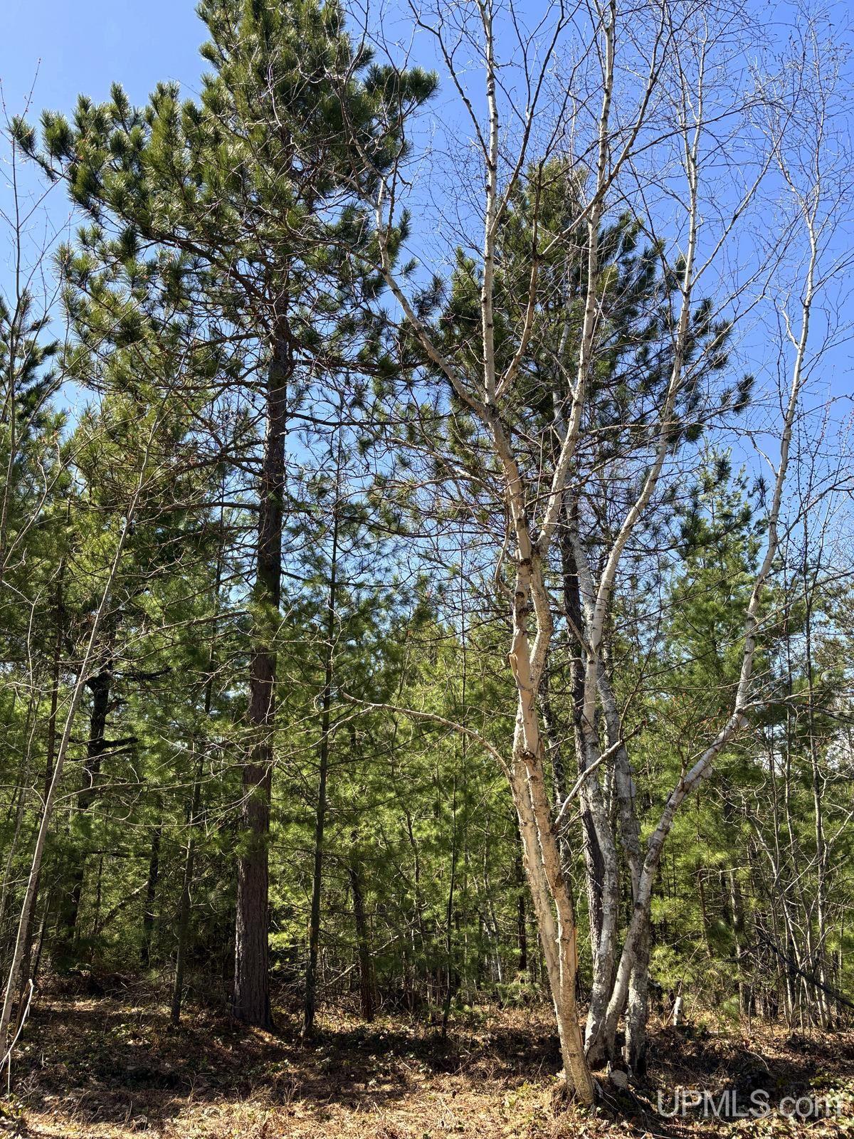 Tbd Valley Road Property Photo 53