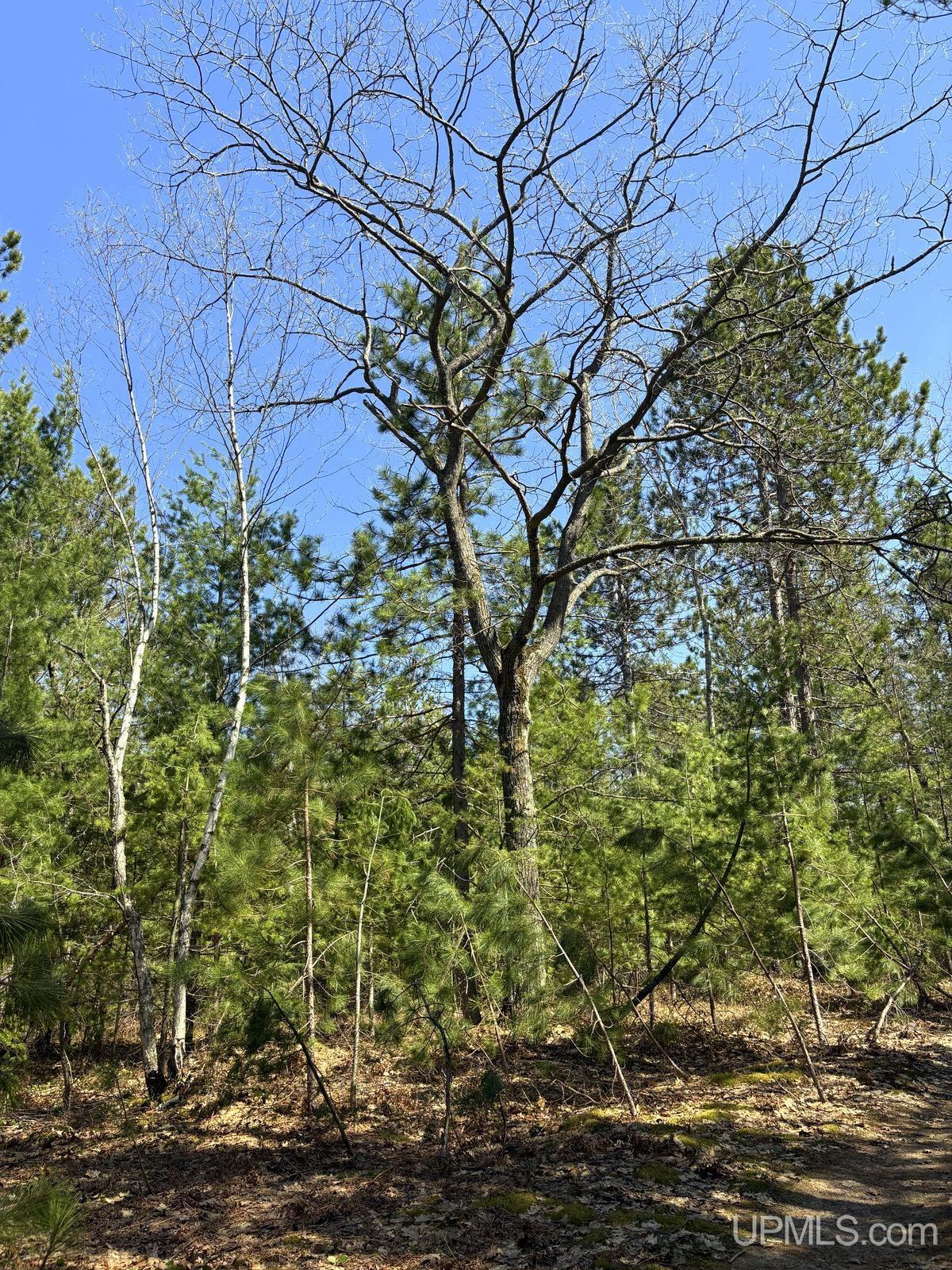 Tbd Valley Road Property Photo 59