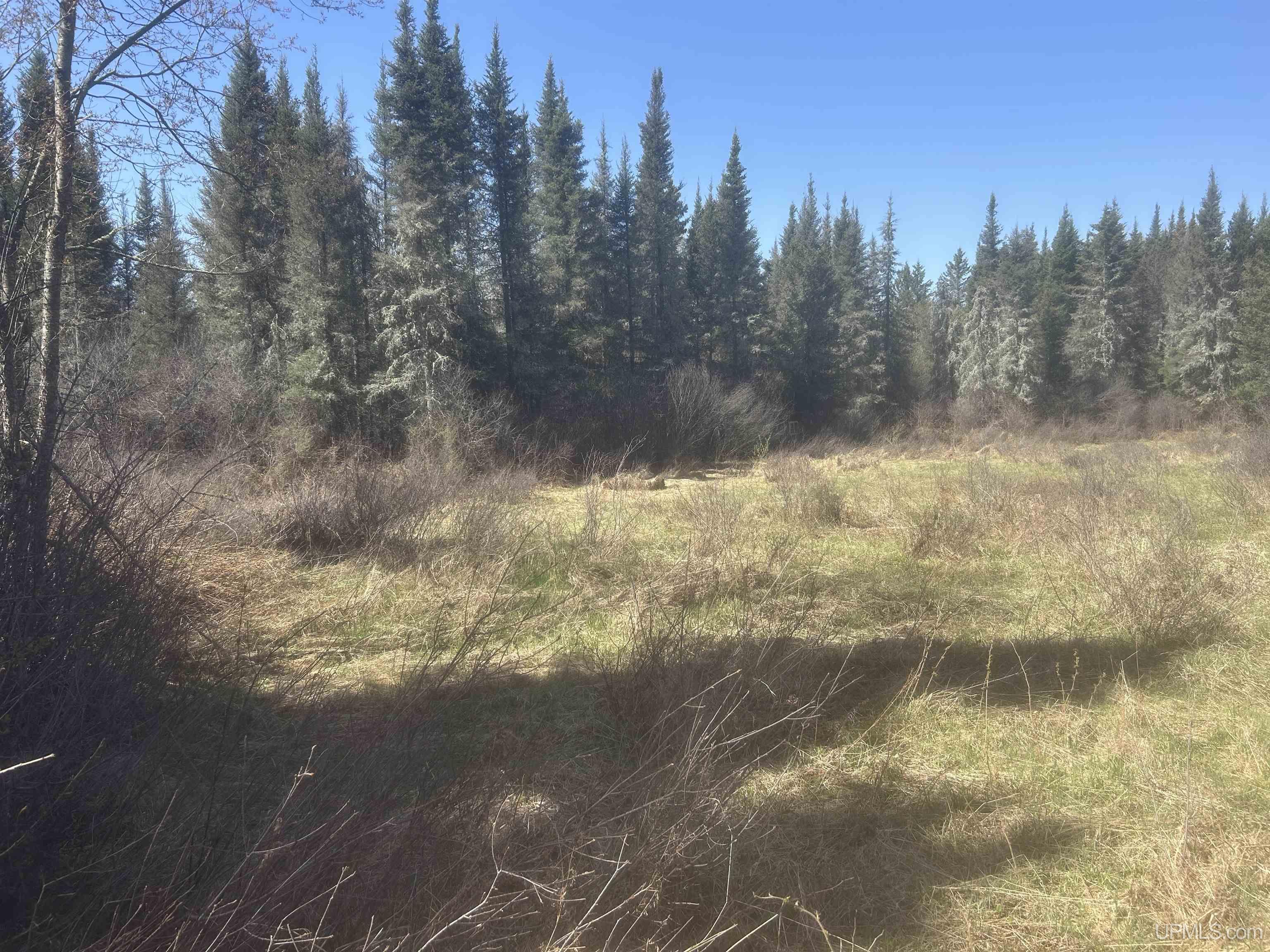 Tbd Goodhall Road Property Photo 2