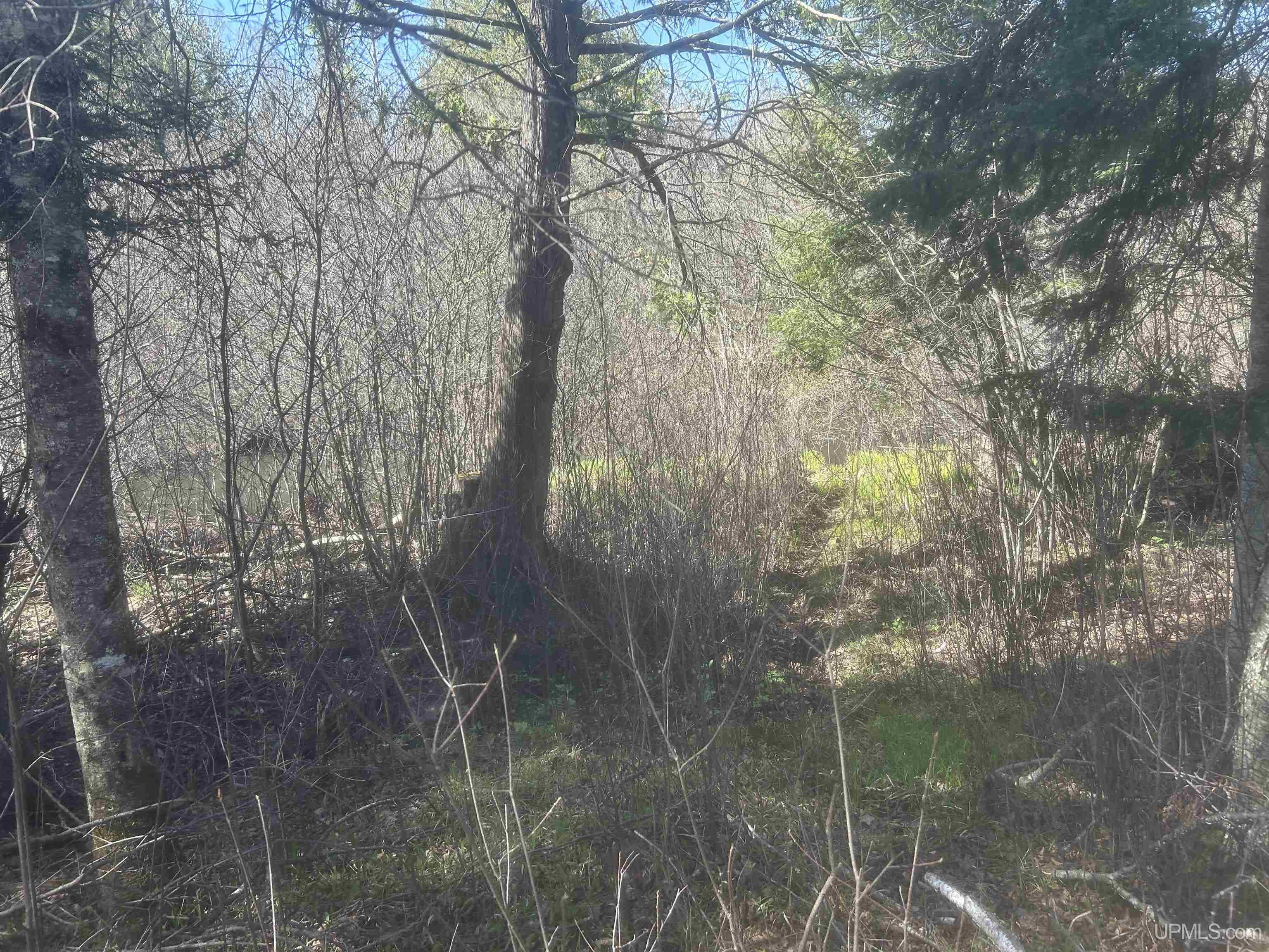 Tbd Goodhall Road Property Photo 3