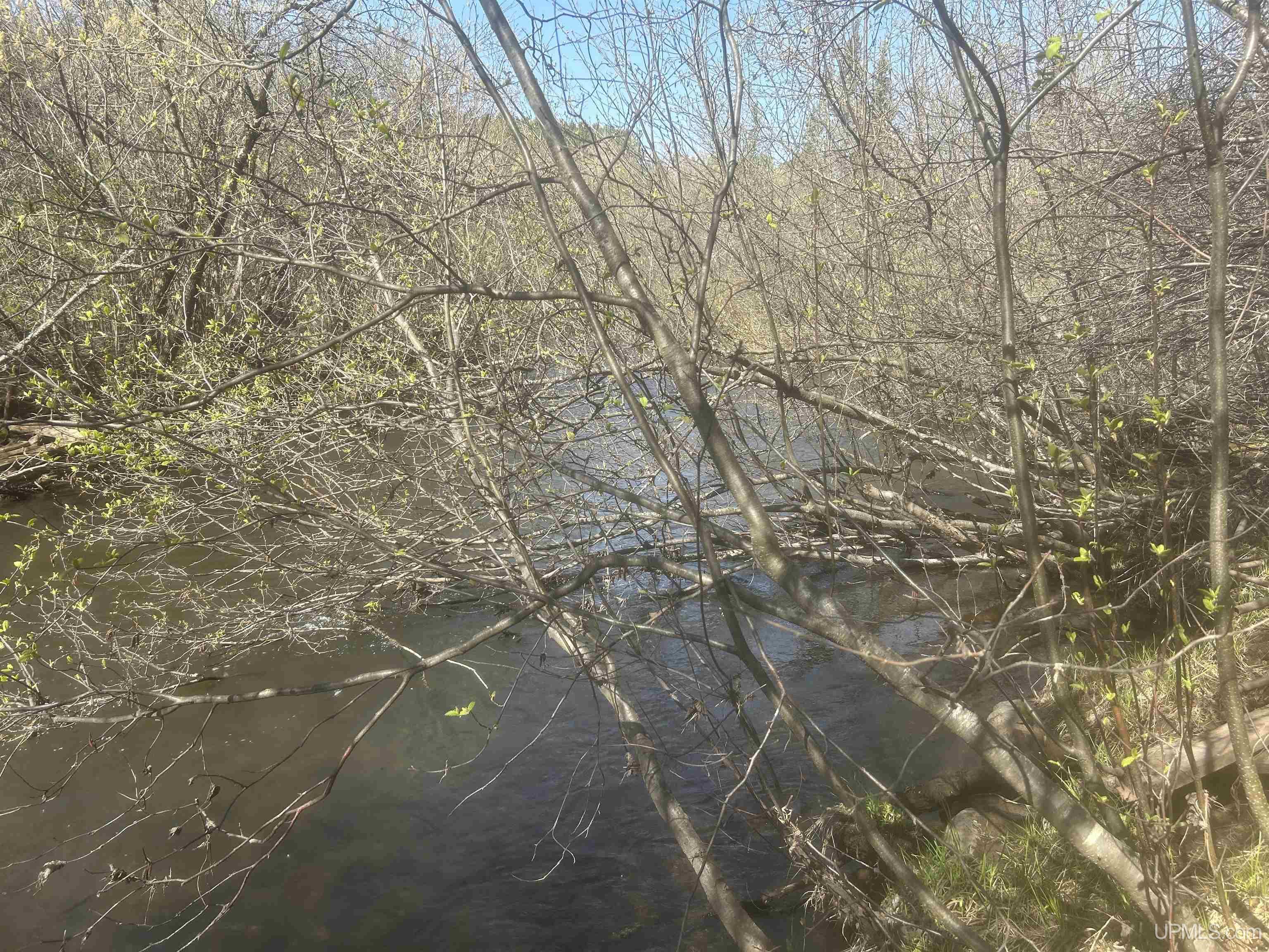 Tbd Goodhall Road Property Photo 4