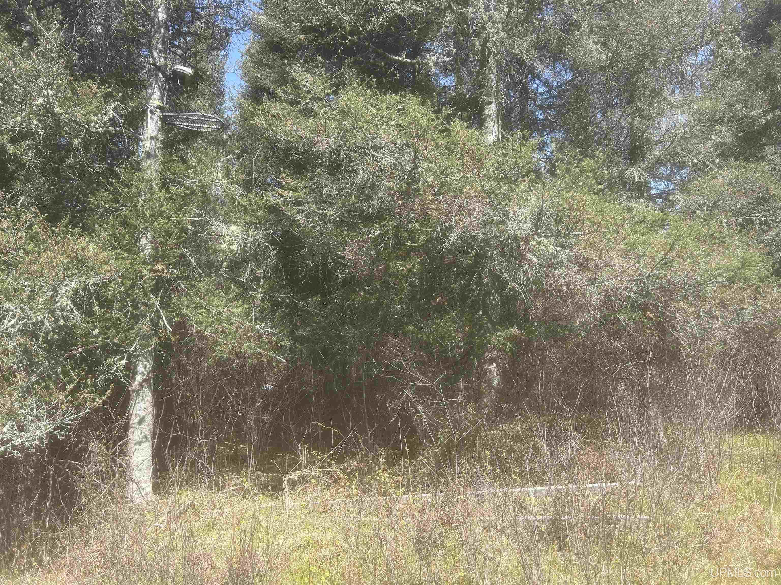 Tbd Goodhall Road Property Photo 5