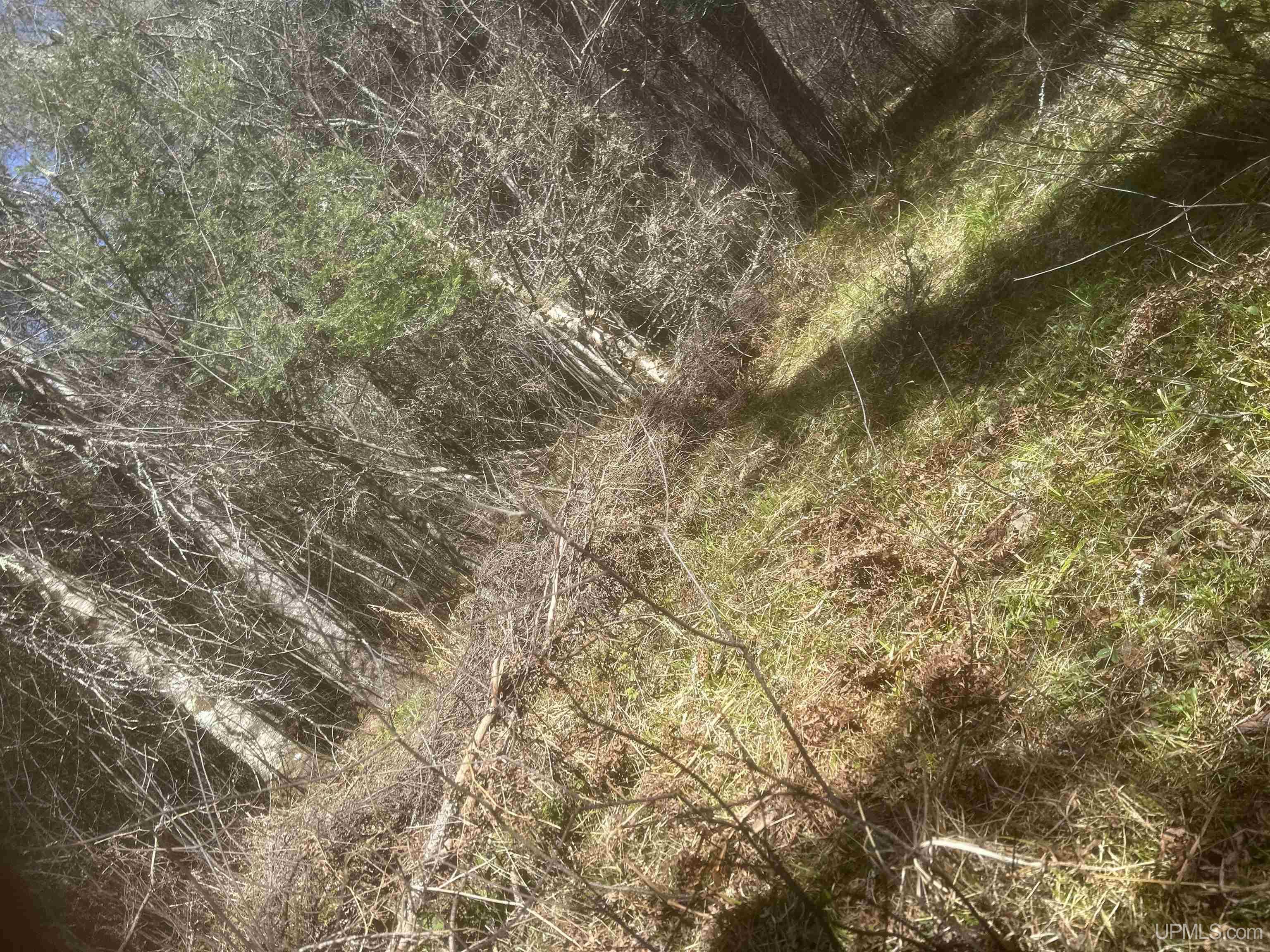Tbd Goodhall Road Property Photo 14