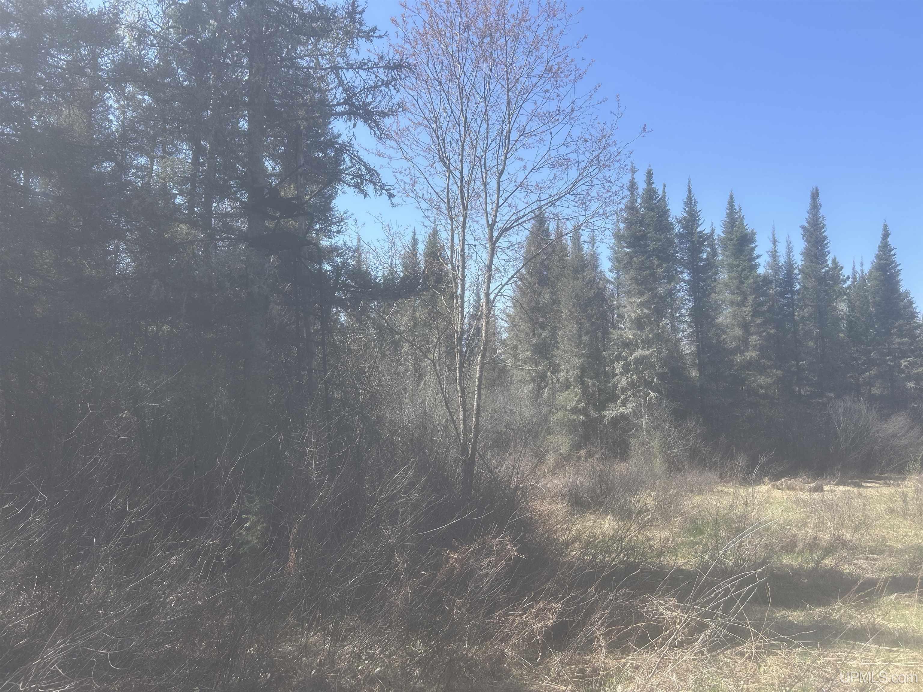 Tbd Goodhall Road Property Photo 15
