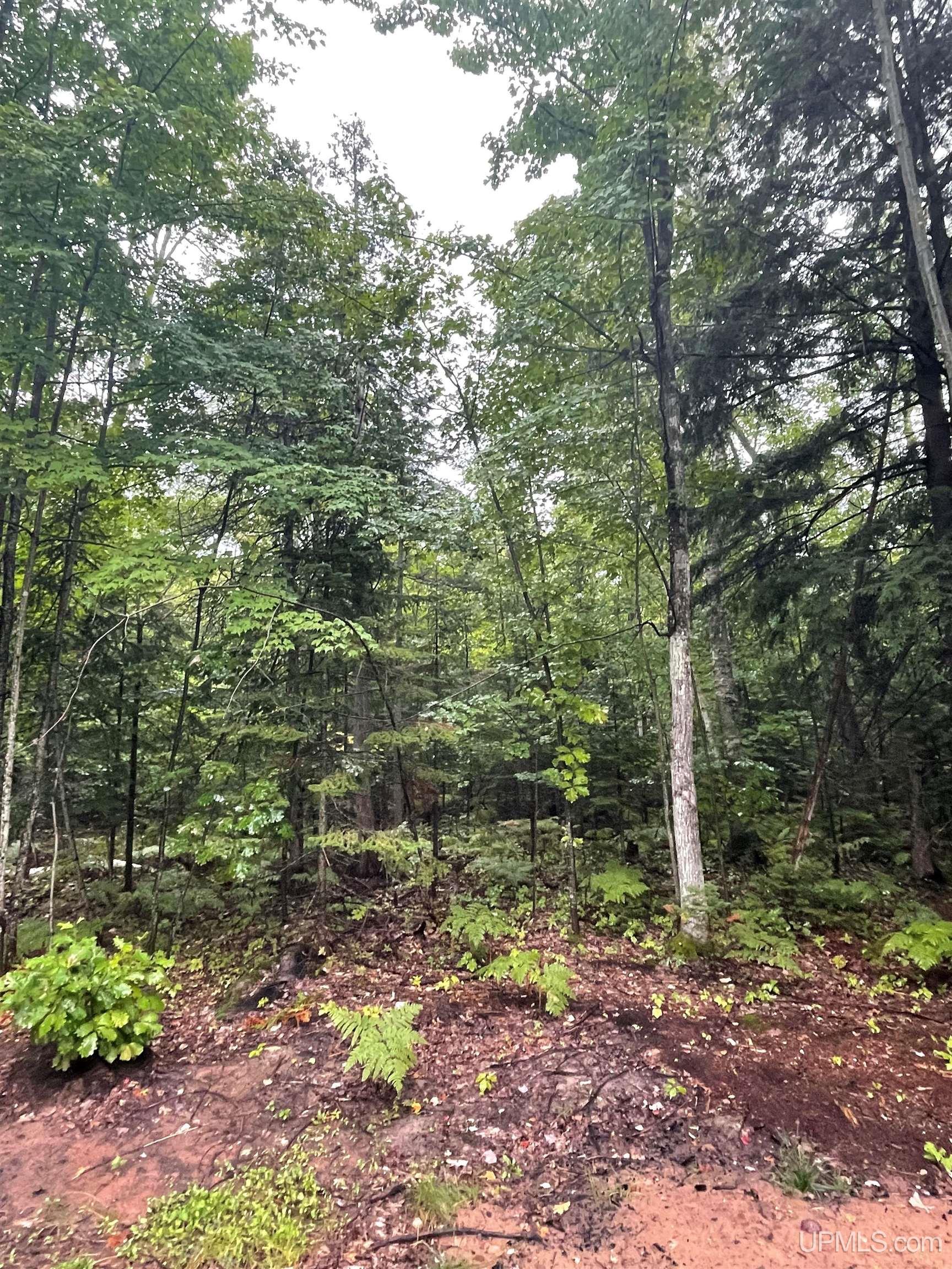 26950 & 26881 E Grosse Point Road Property Photo 14