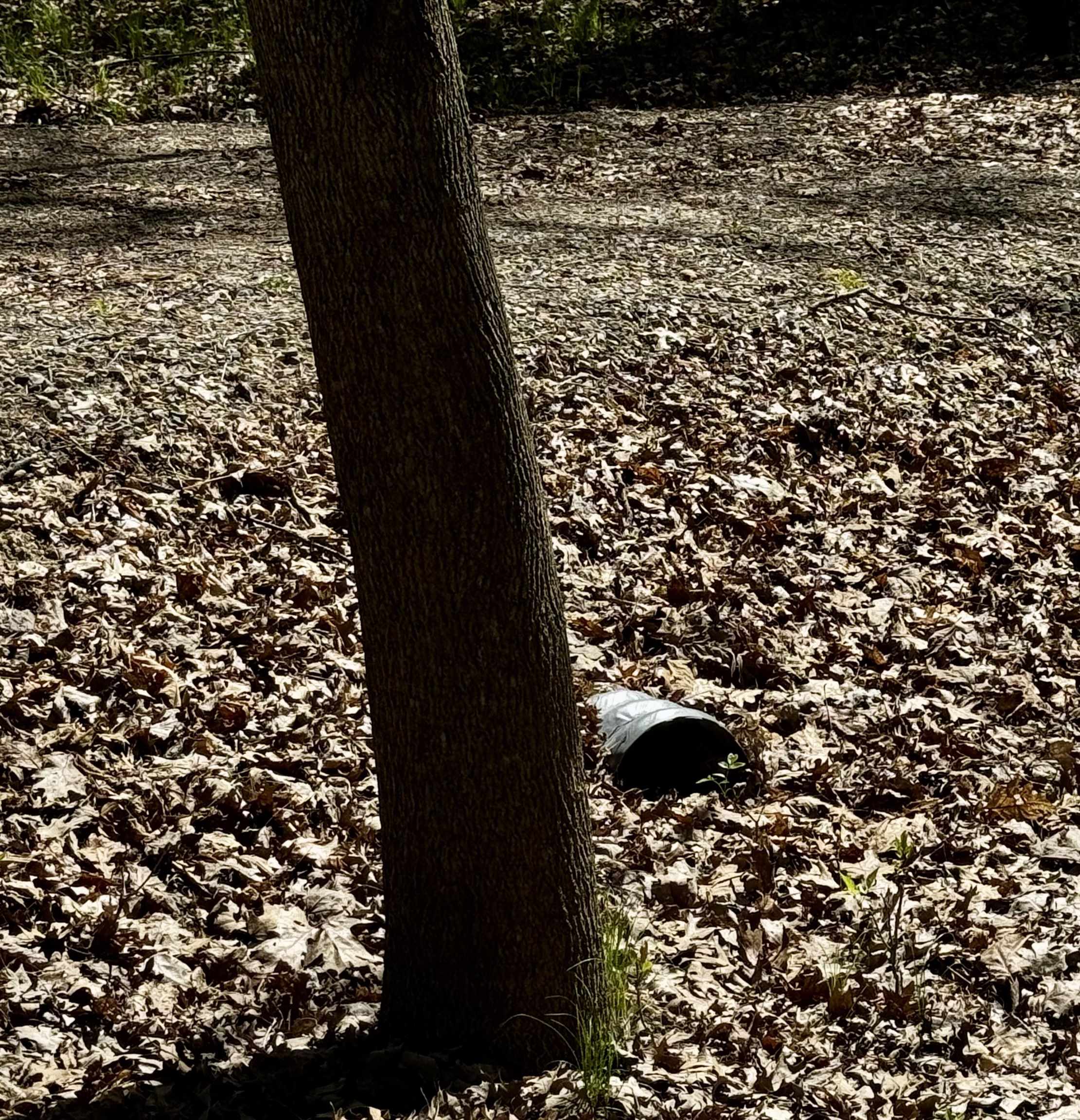 4950 Squirrel Run Property Photo 2