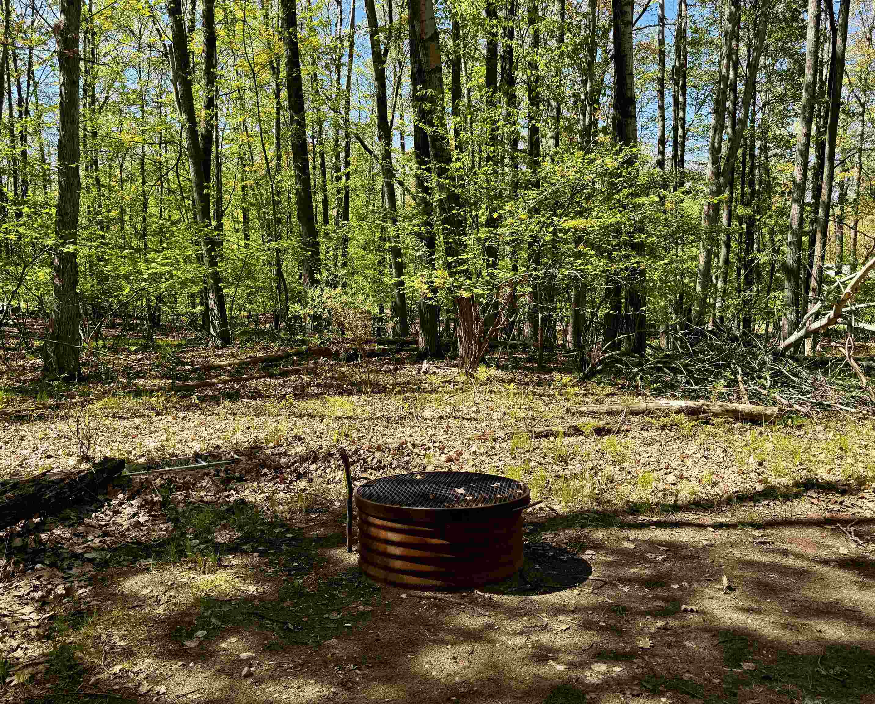4950 Squirrel Run Property Photo 4