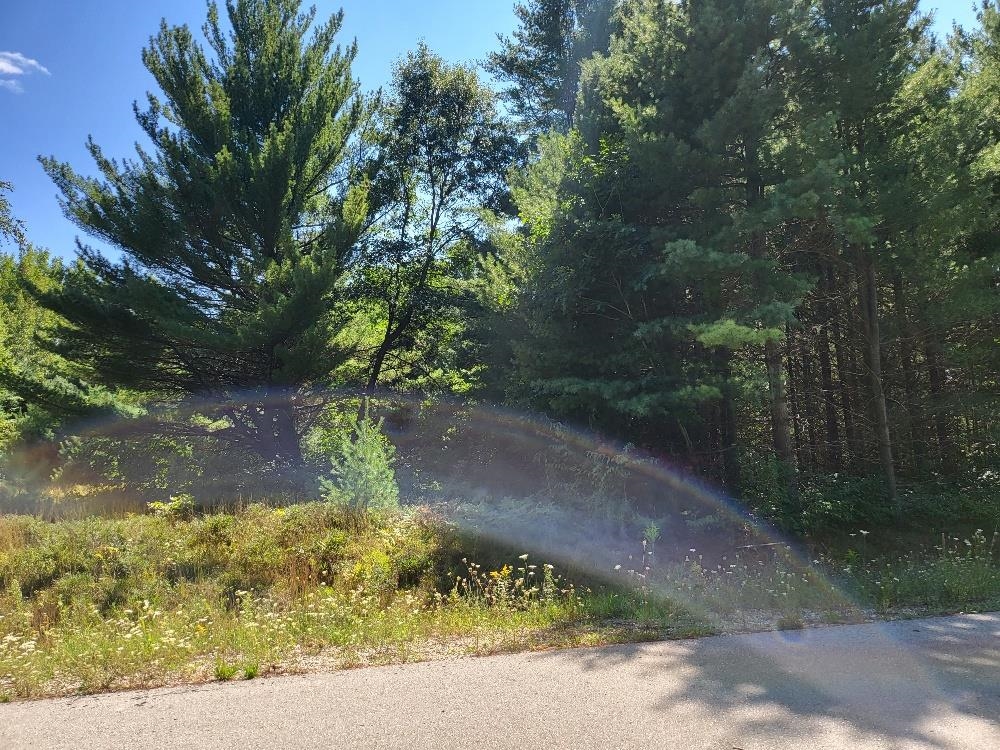 498 Ridge Road Property Photo 4
