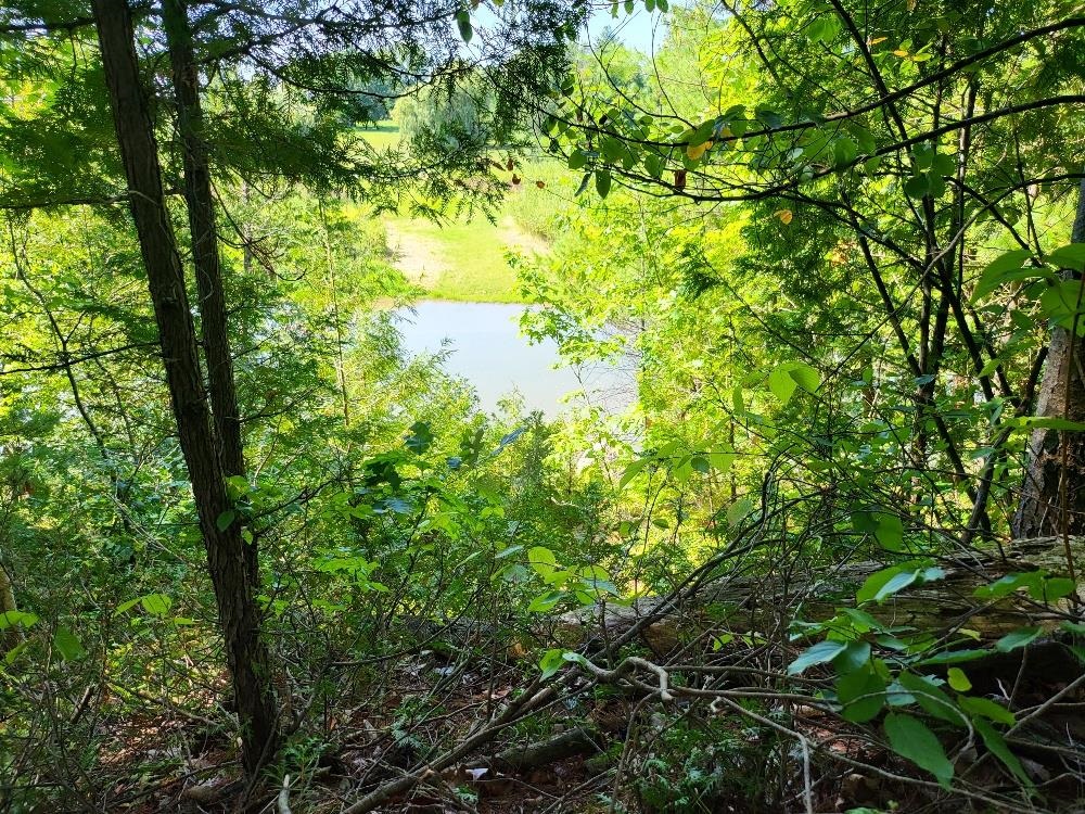 498 Ridge Road Property Photo 7