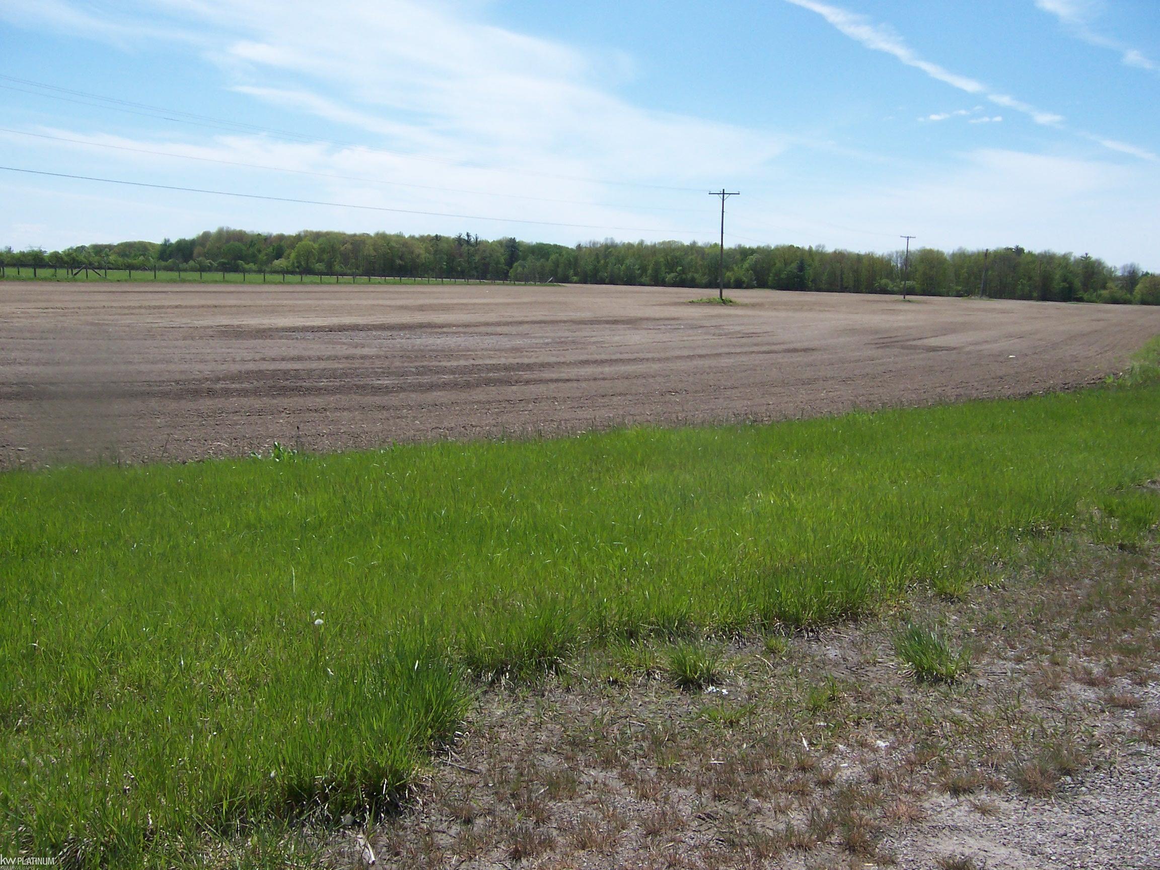Vacant Kilgore Rd Road Property Photo 4