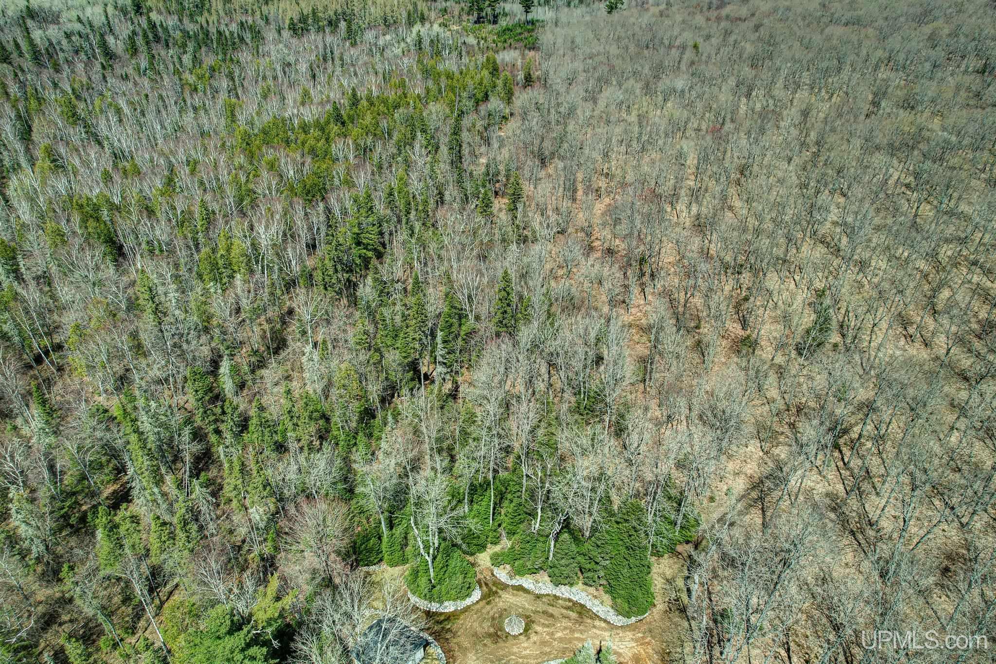 Tbd Cut Across Road Property Photo 30
