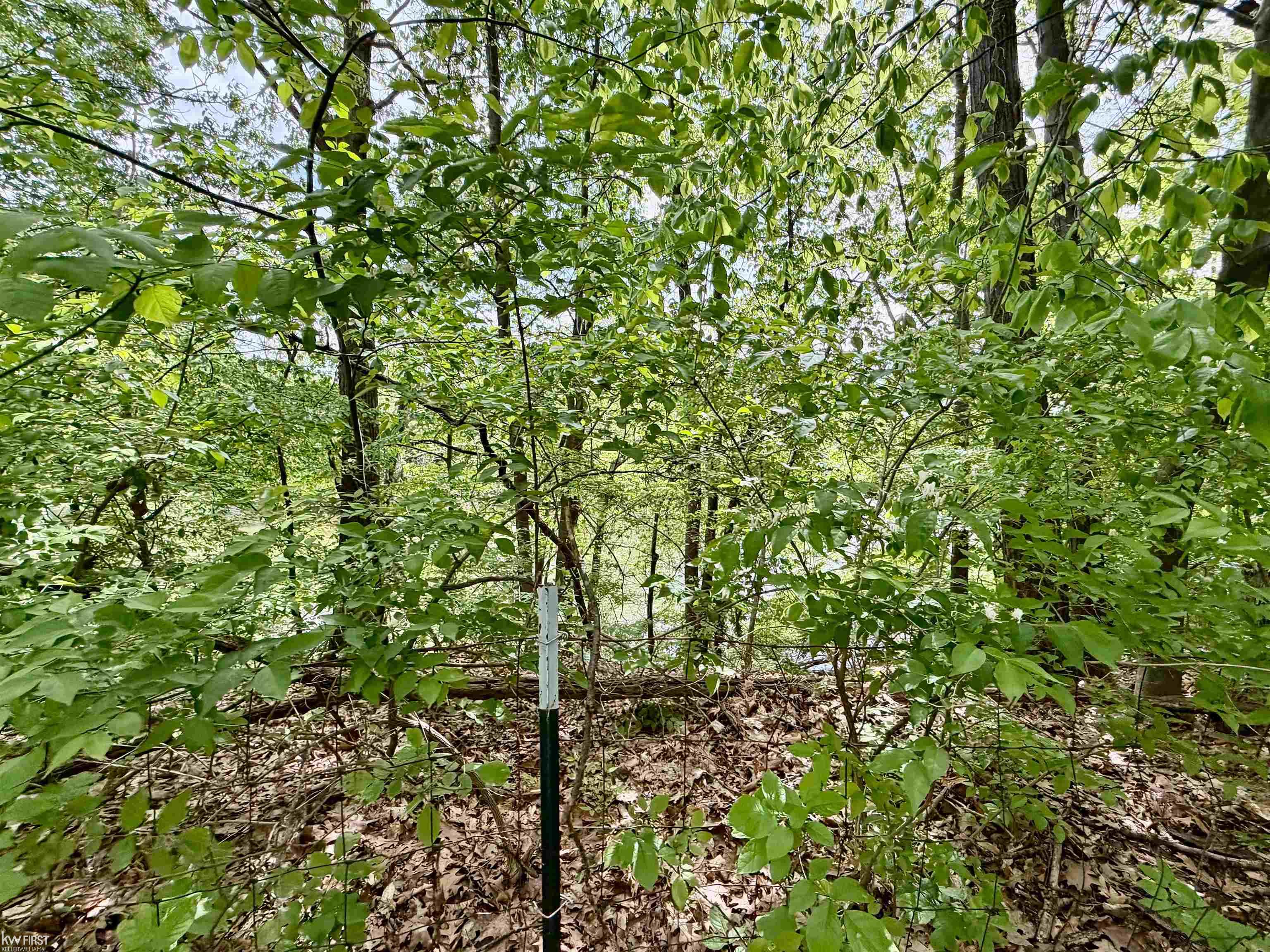 7432 River Road Property Photo 25