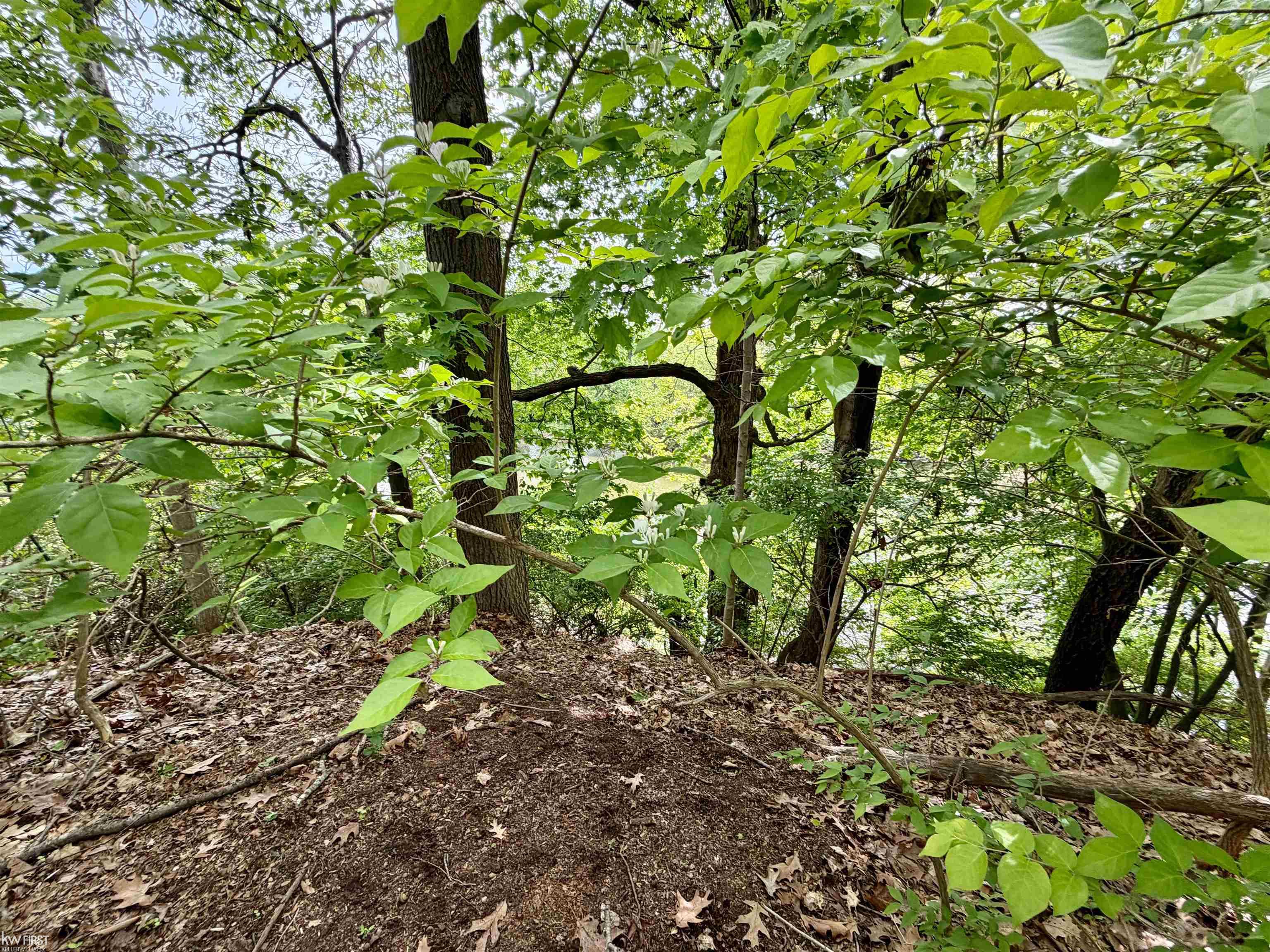 7432 River Road Property Photo 28