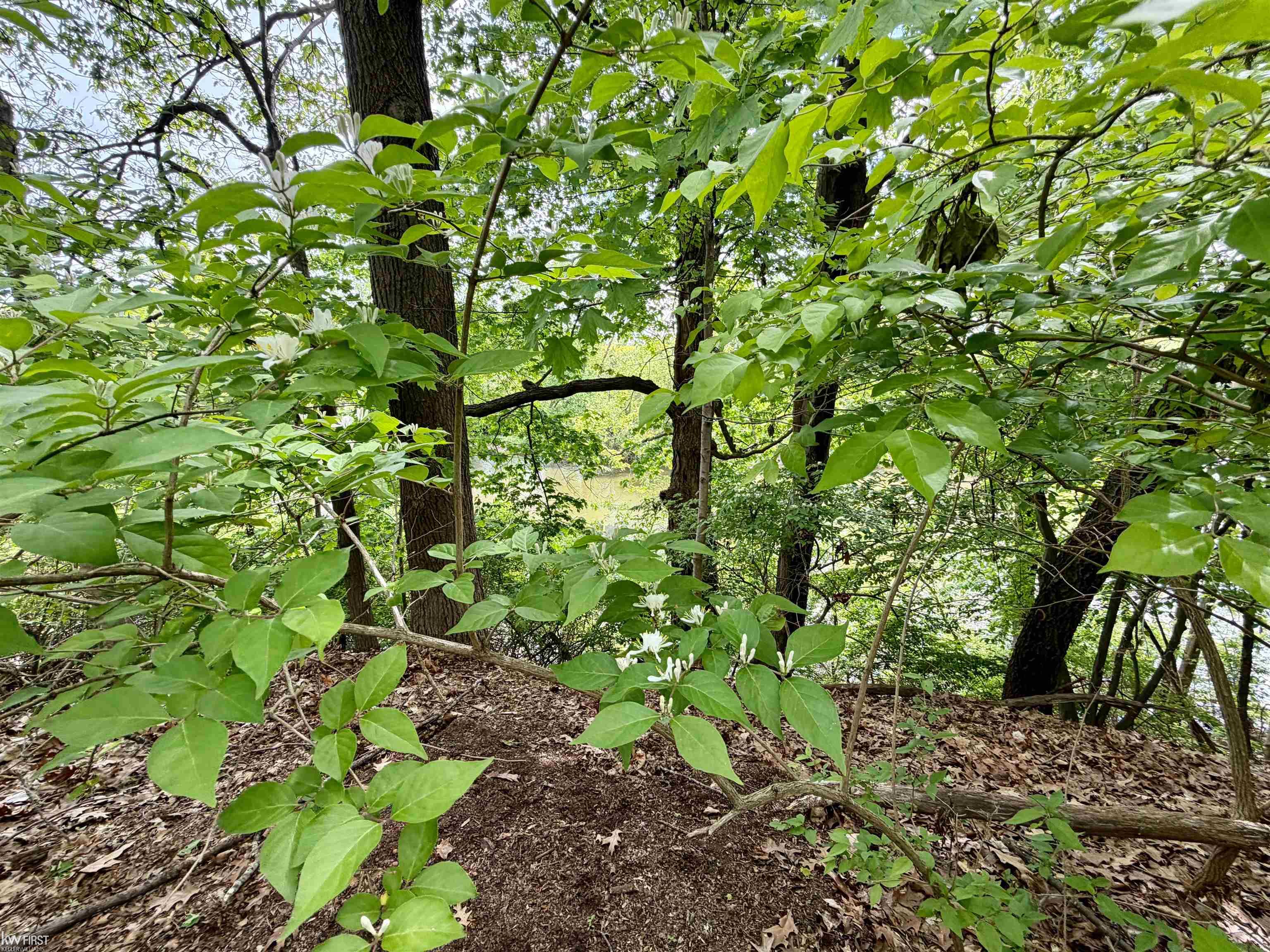 7432 River Road Property Photo 29