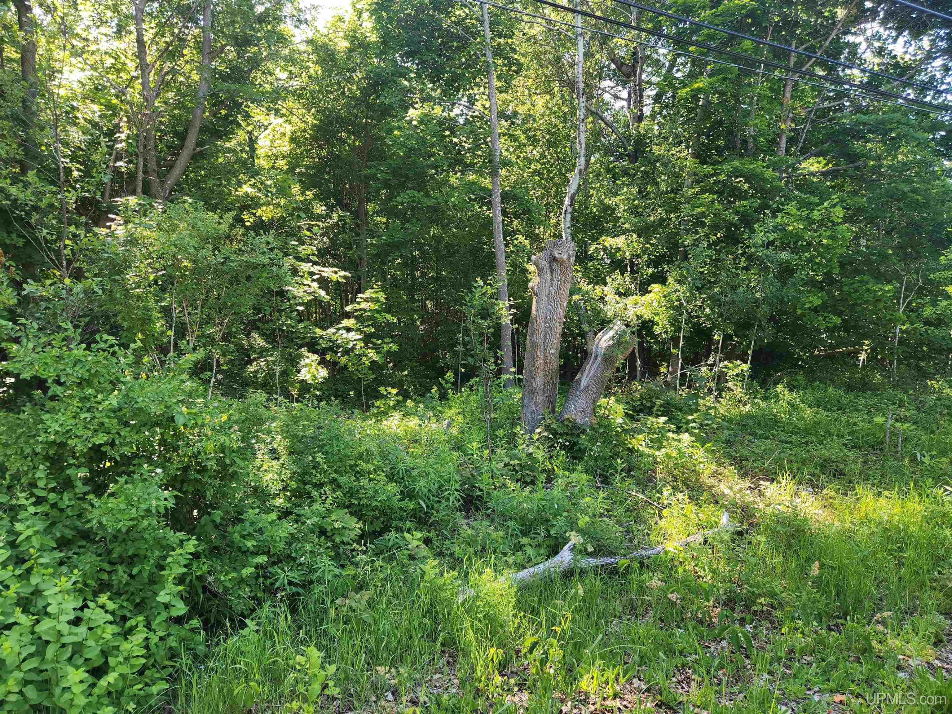Tbd 135 Eleventh Street Property Photo 1