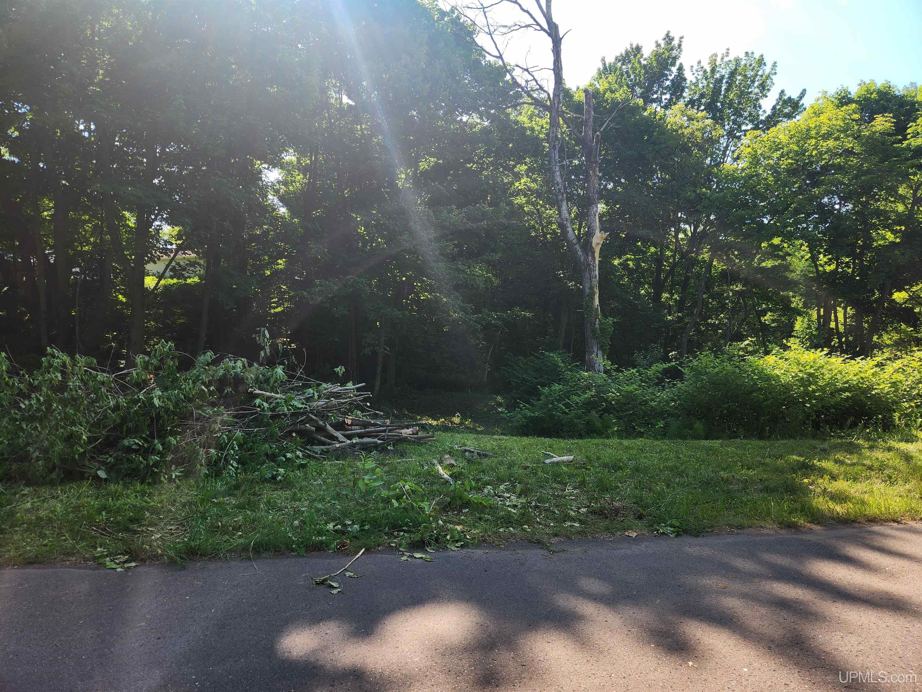 Tbd 2 And 3 L Avenue Property Photo 1
