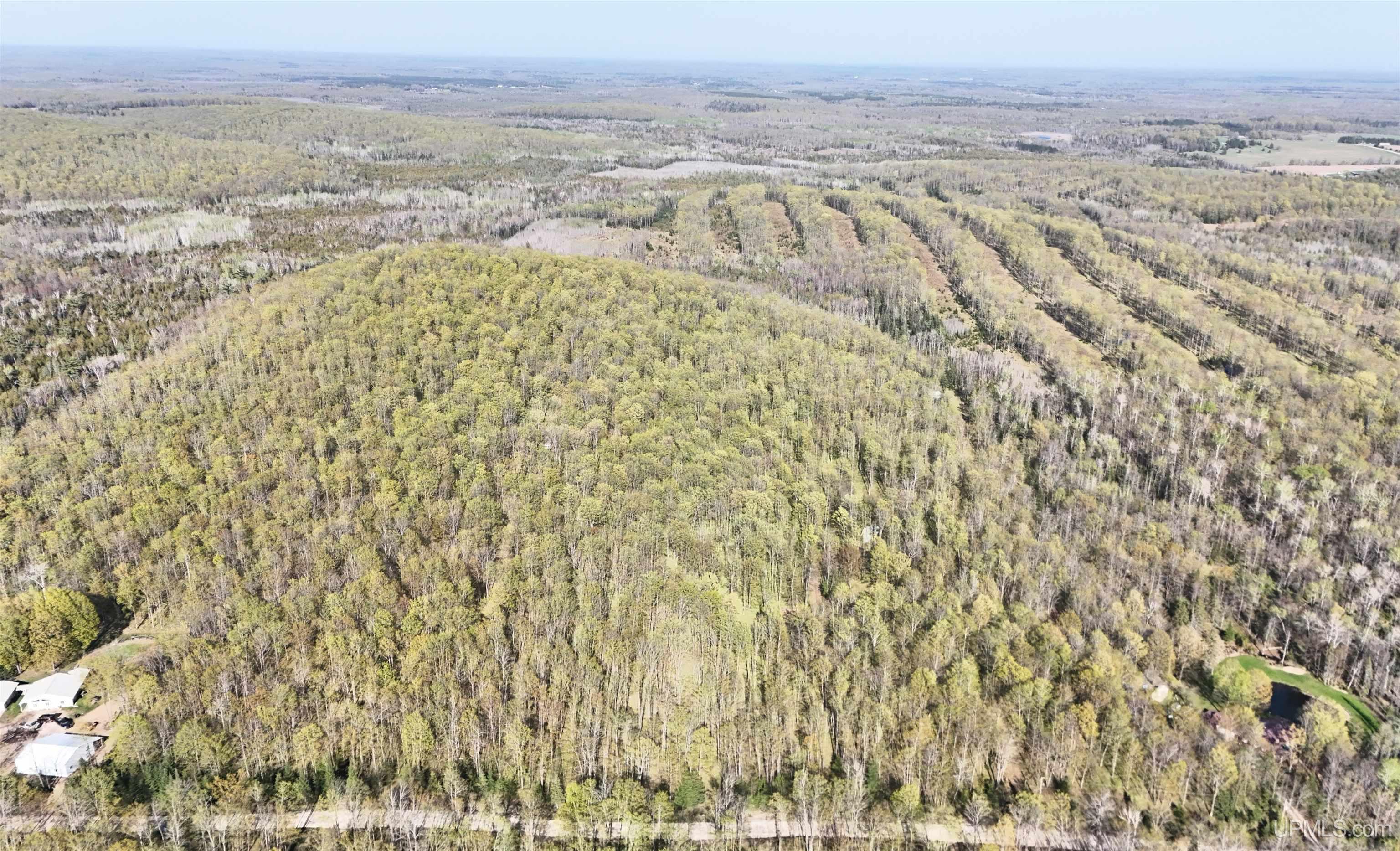 Tbd County Line Road Property Photo 1
