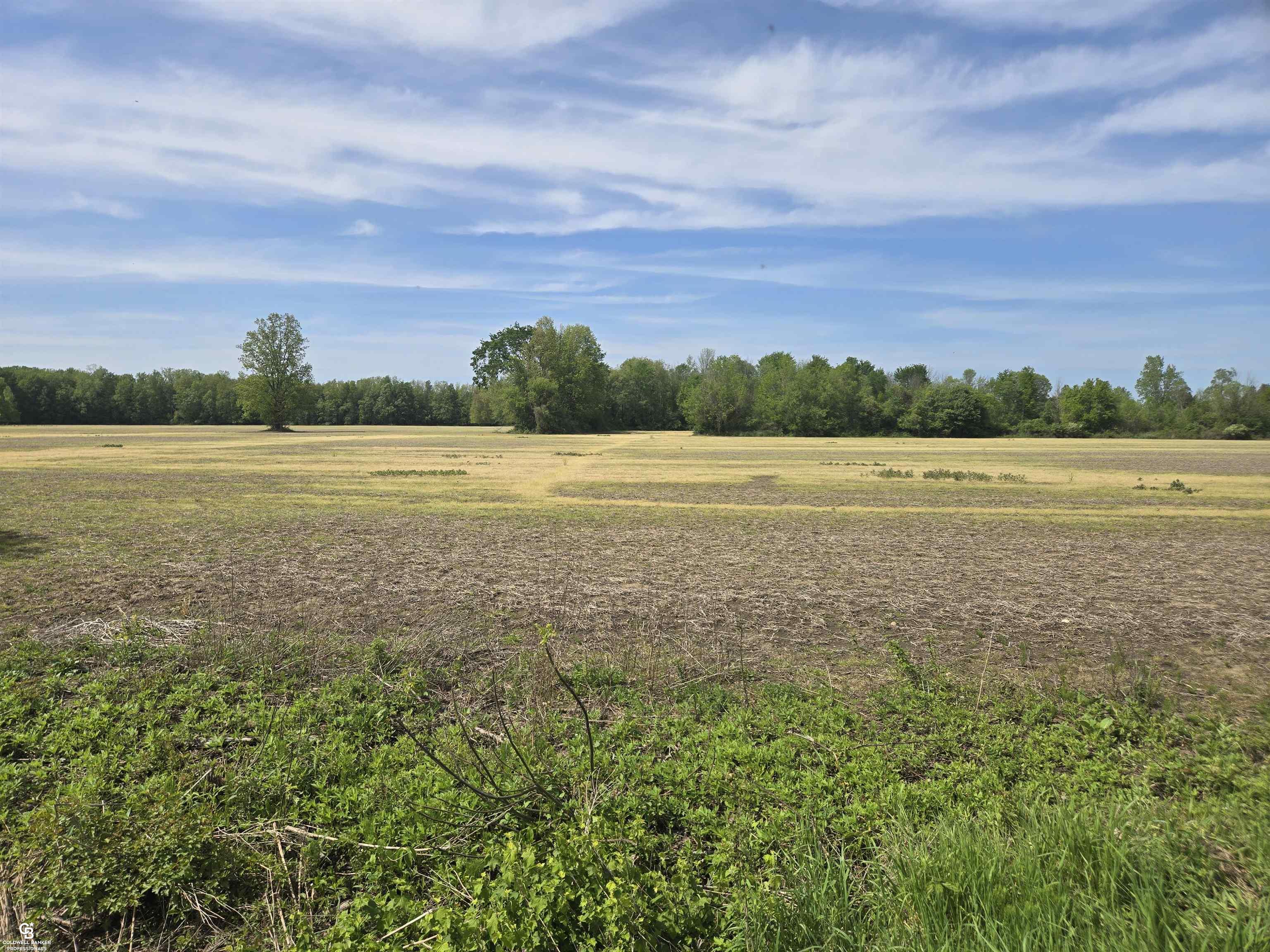 00 Bean Vl Lot E Road Property Photo 6