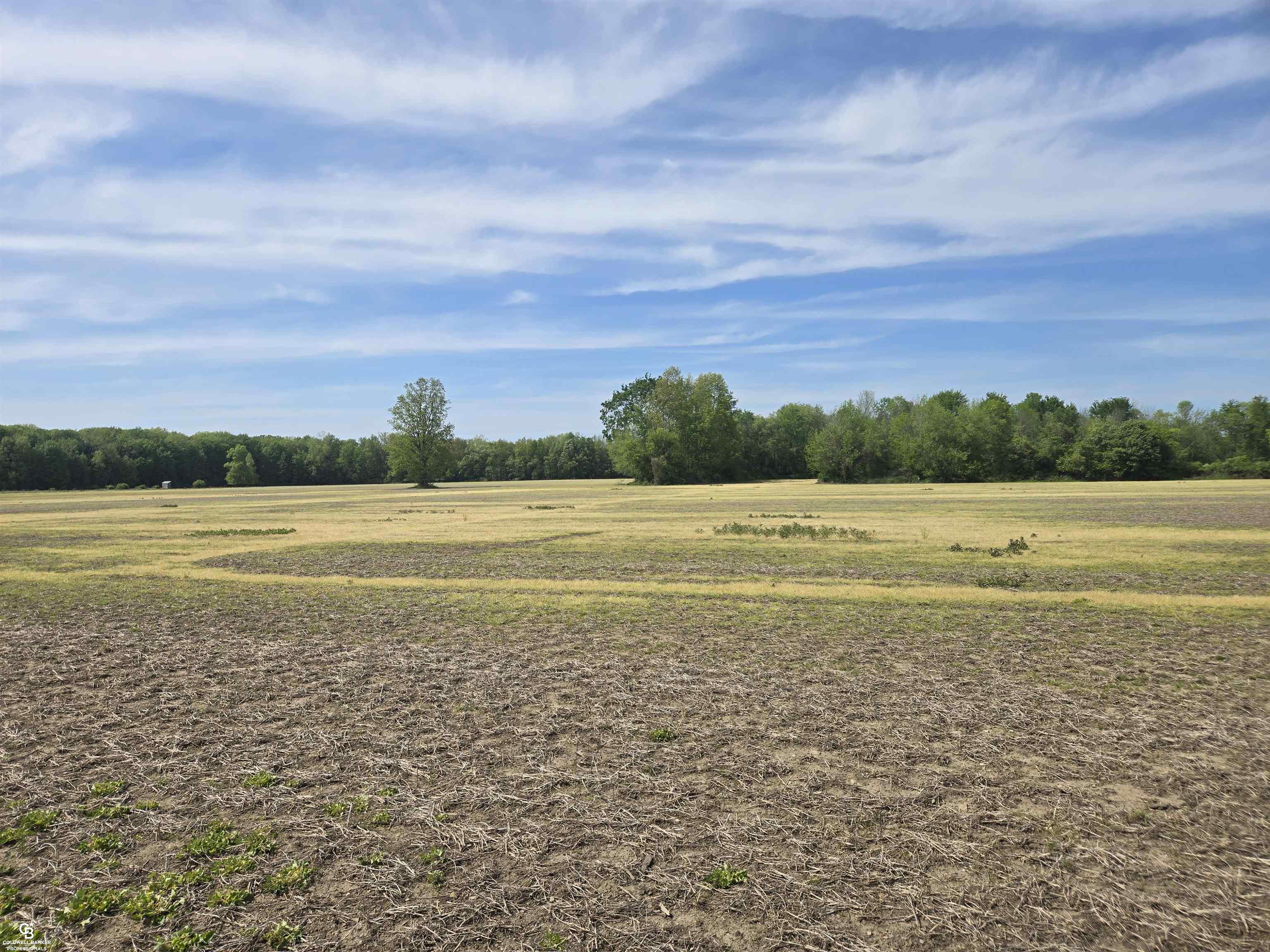00 Bean Vl Lot E Road Property Photo 10