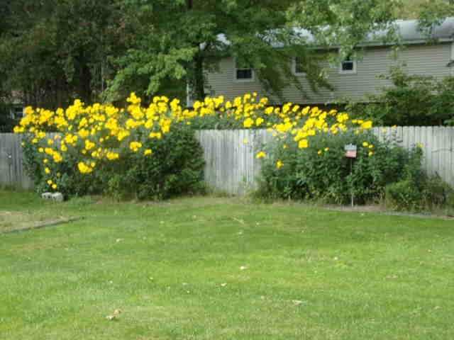 404 Hunters Ridge Property Photo 78