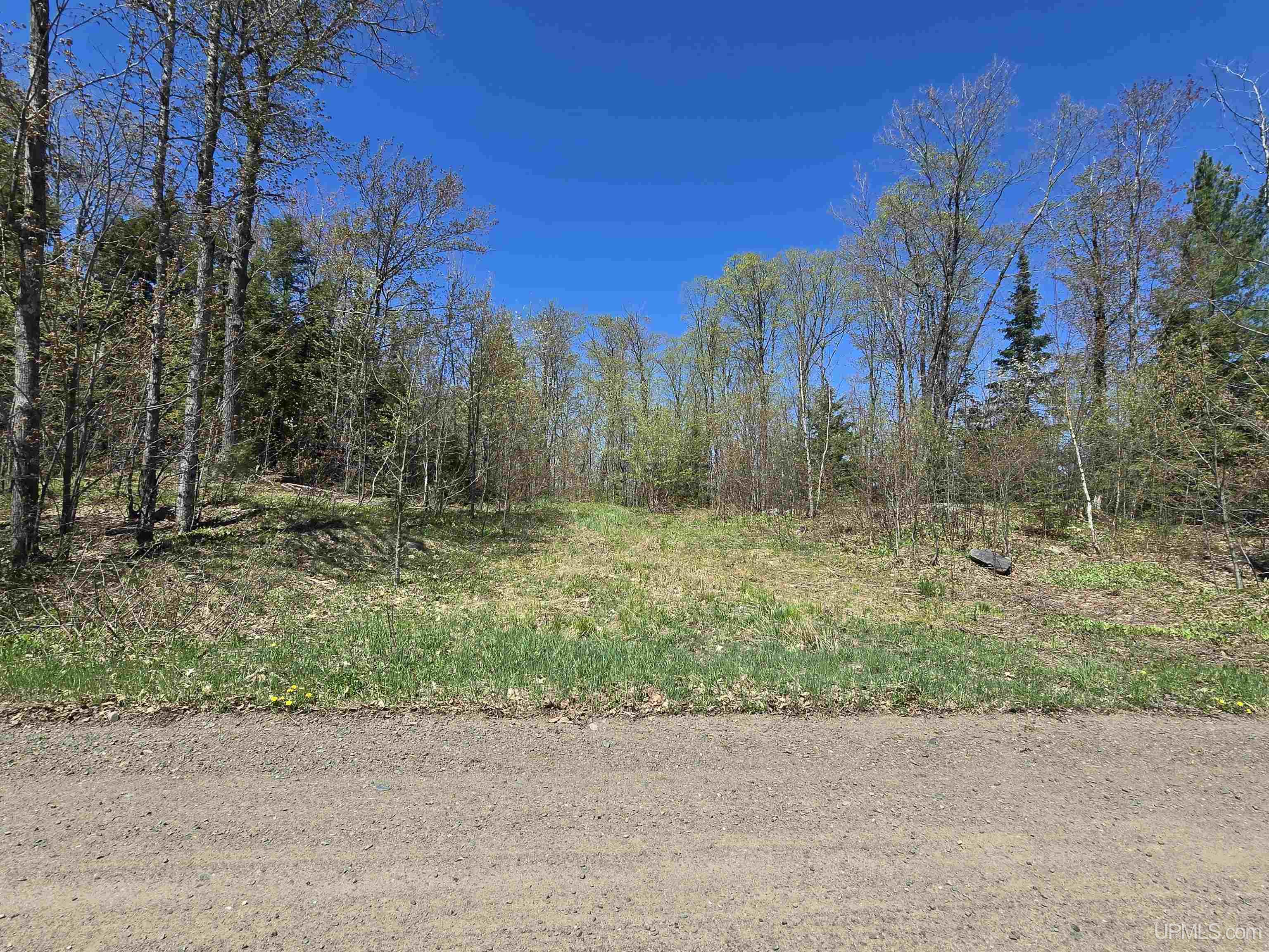 Tbd Murphy Road Property Photo 2