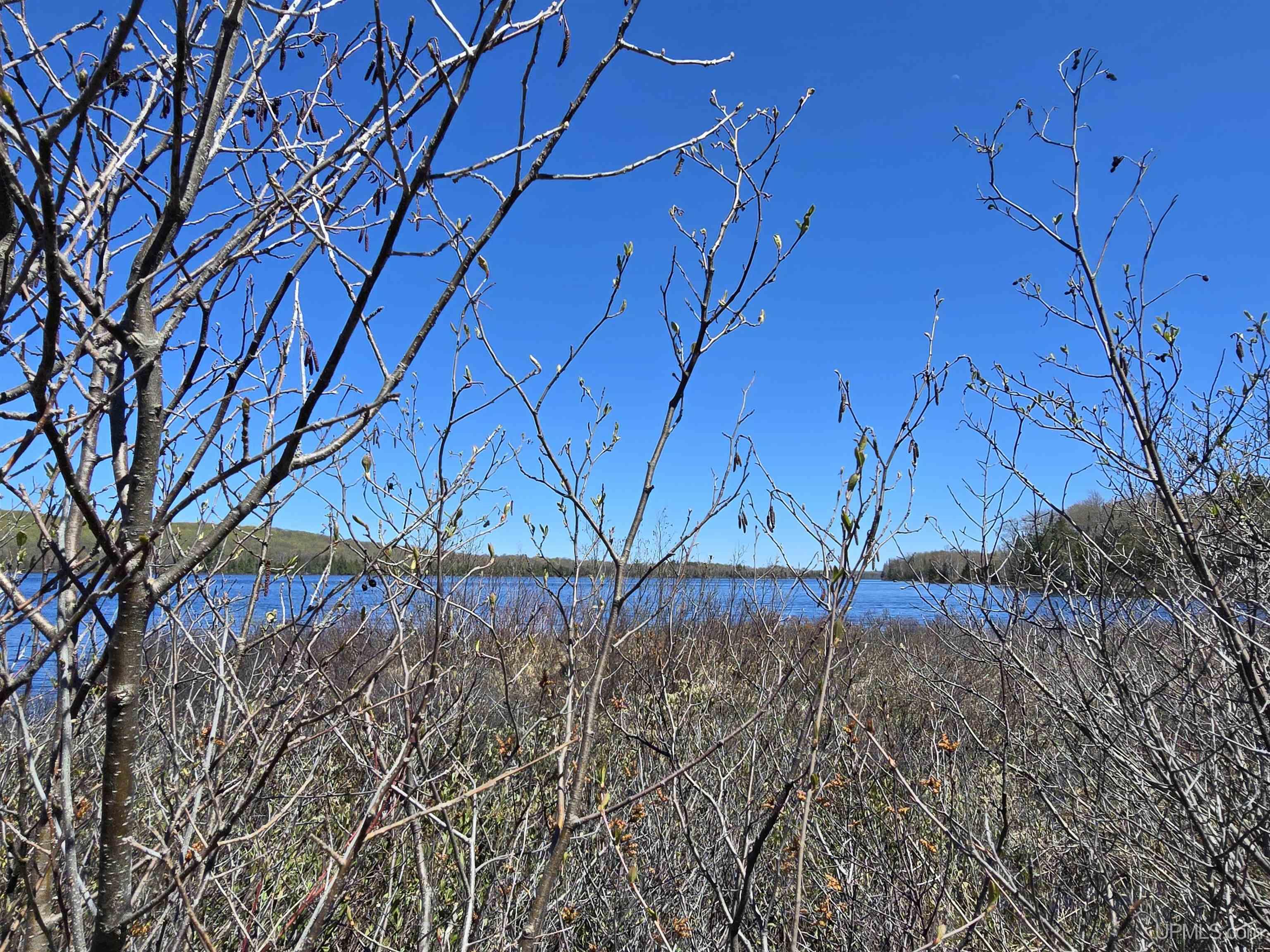 Tbd Murphy Road Property Photo 6