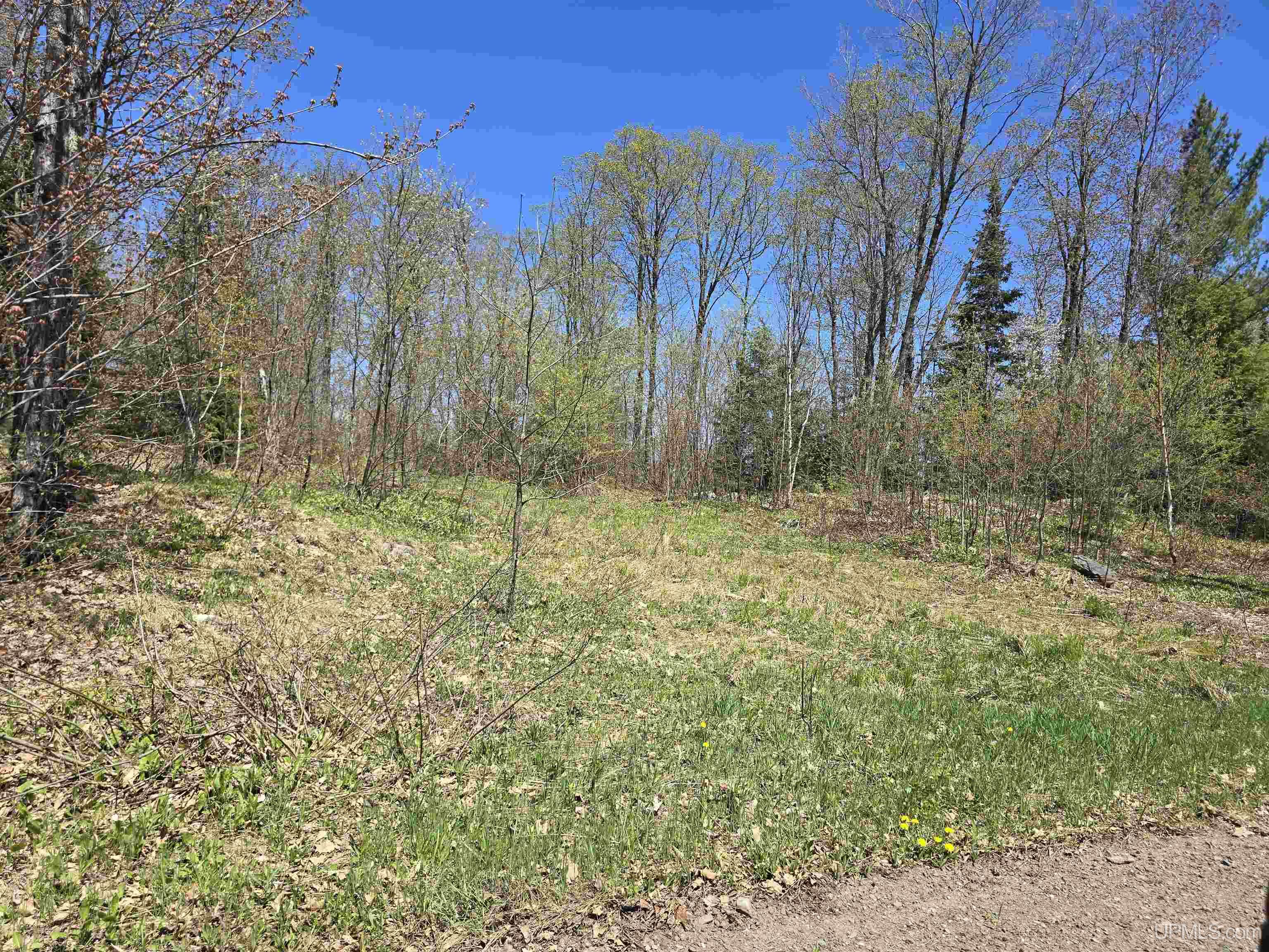 Tbd Murphy Road Property Photo 8