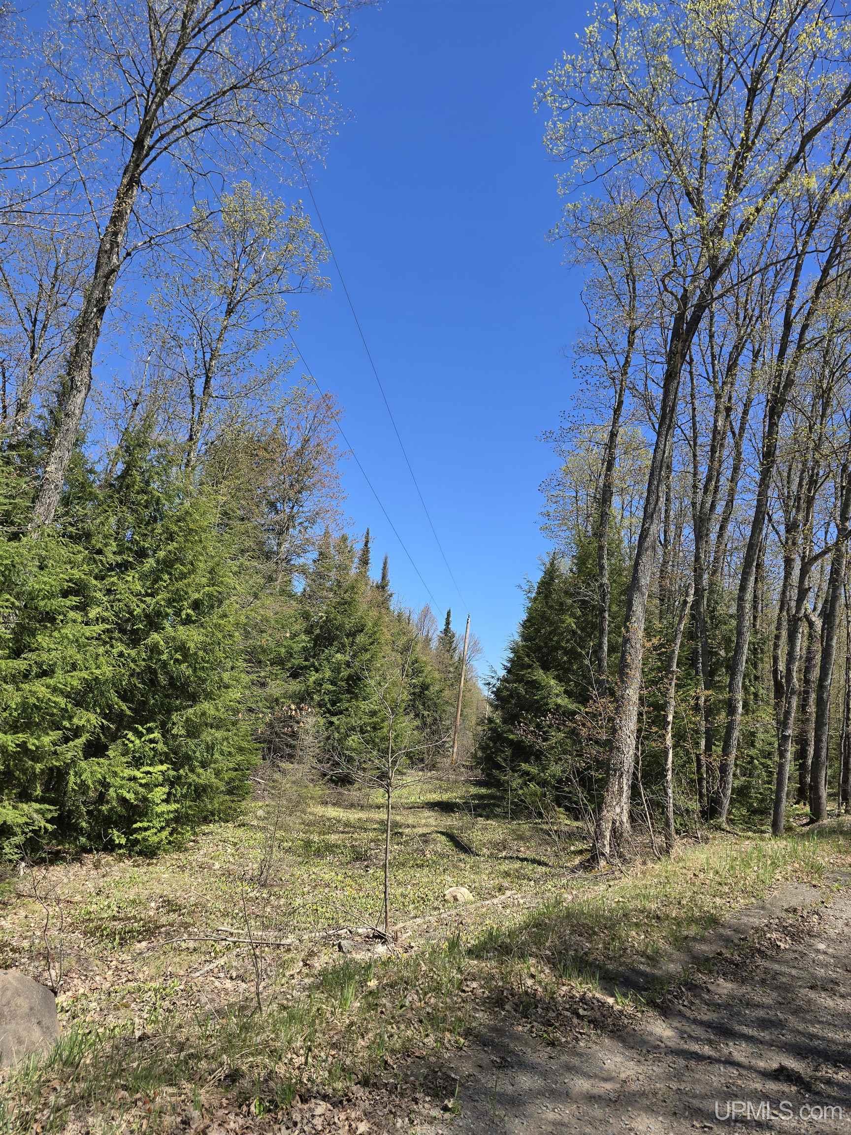 Tbd Murphy Road Property Photo 13