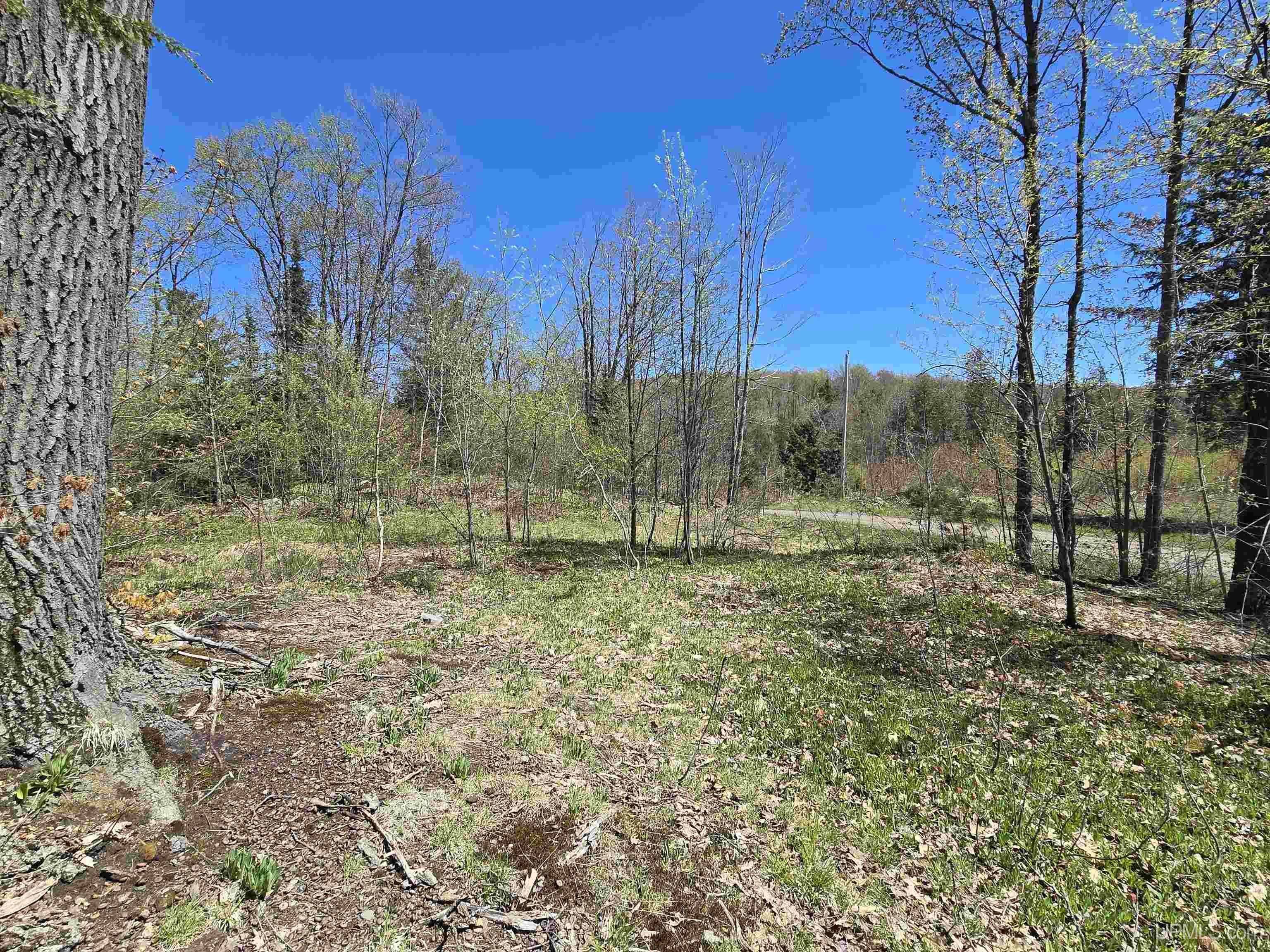Tbd Murphy Road Property Photo 14