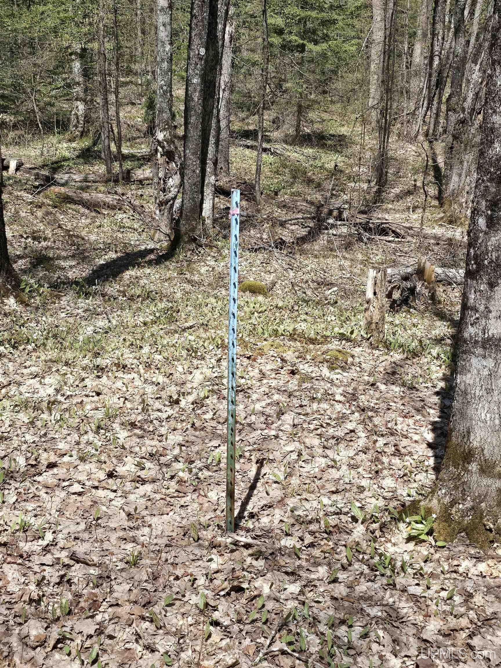 Tbd Murphy Road Property Photo 15
