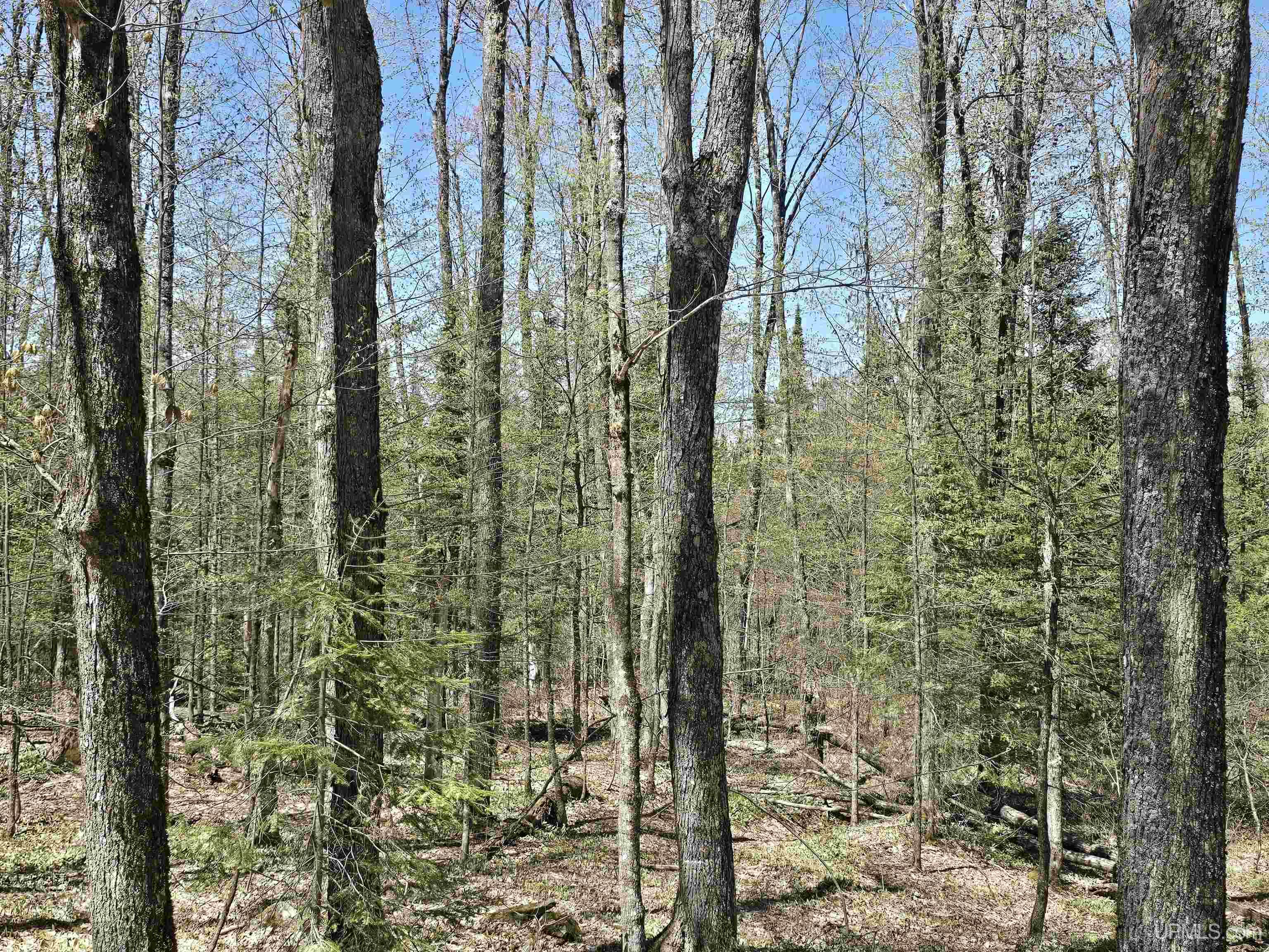 Tbd Murphy Road Property Photo 17