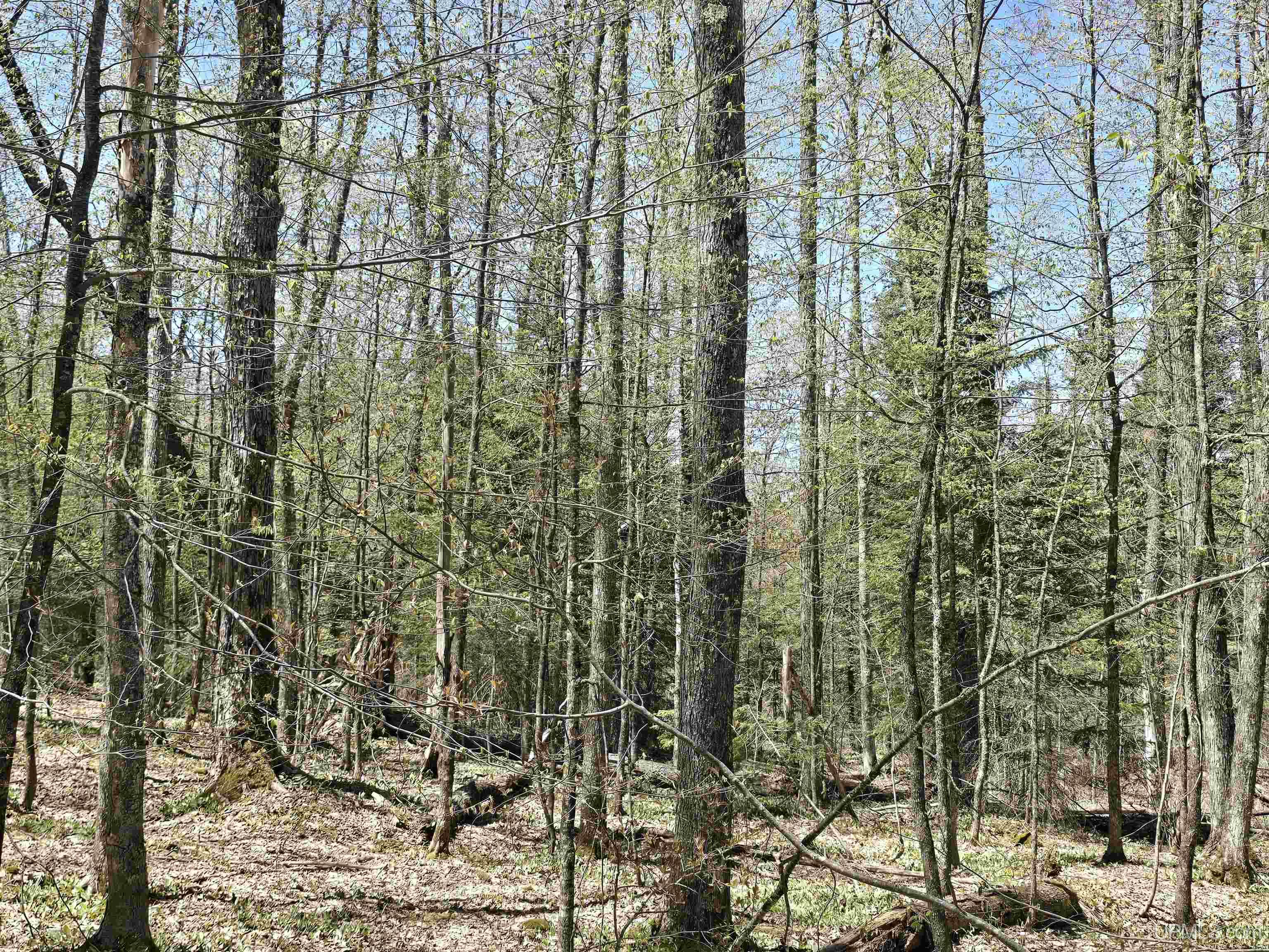 Tbd Murphy Road Property Photo 18