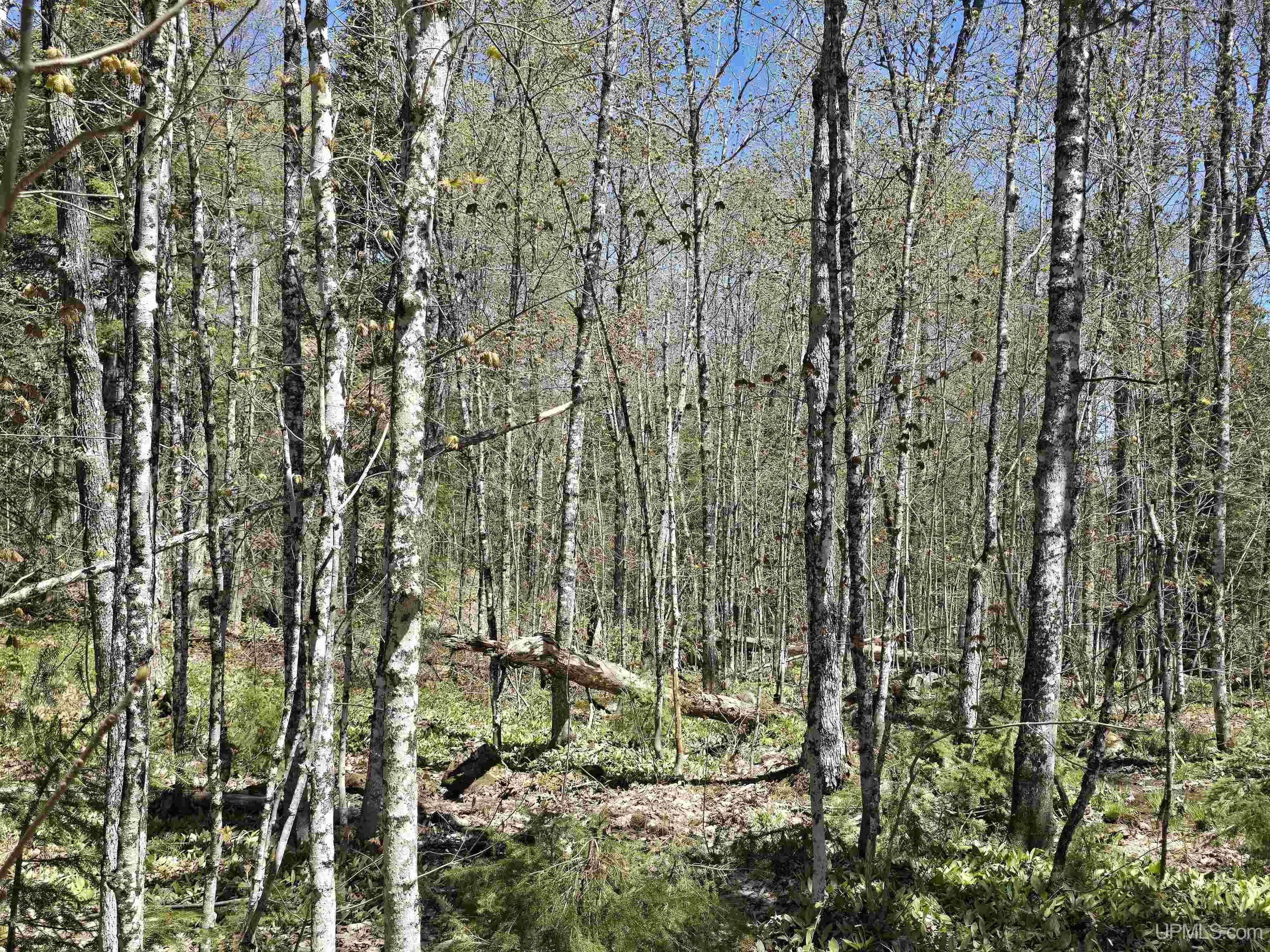 Tbd Murphy Road Property Photo 19