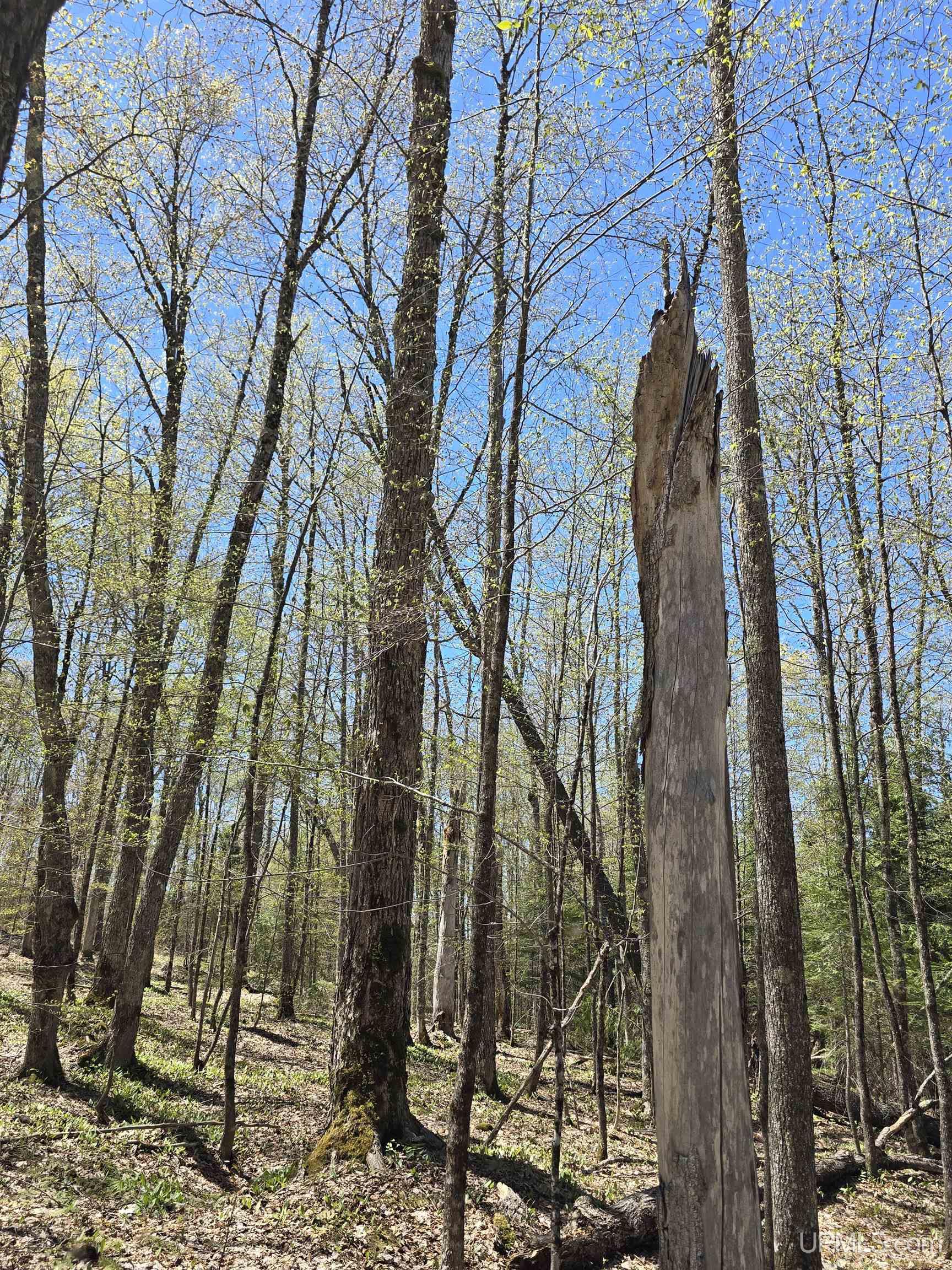 Tbd Murphy Road Property Photo 20