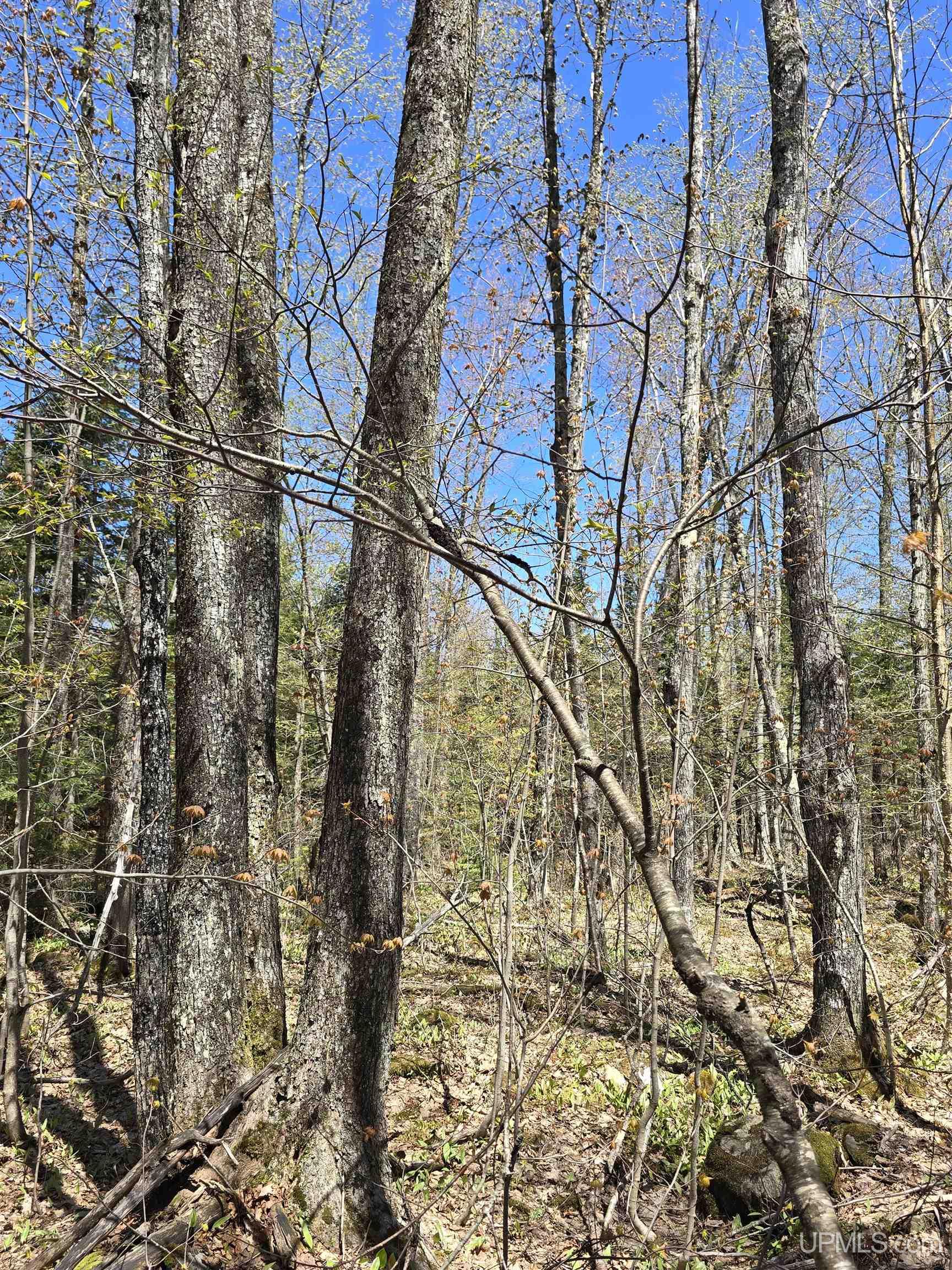 Tbd Murphy Road Property Photo 21