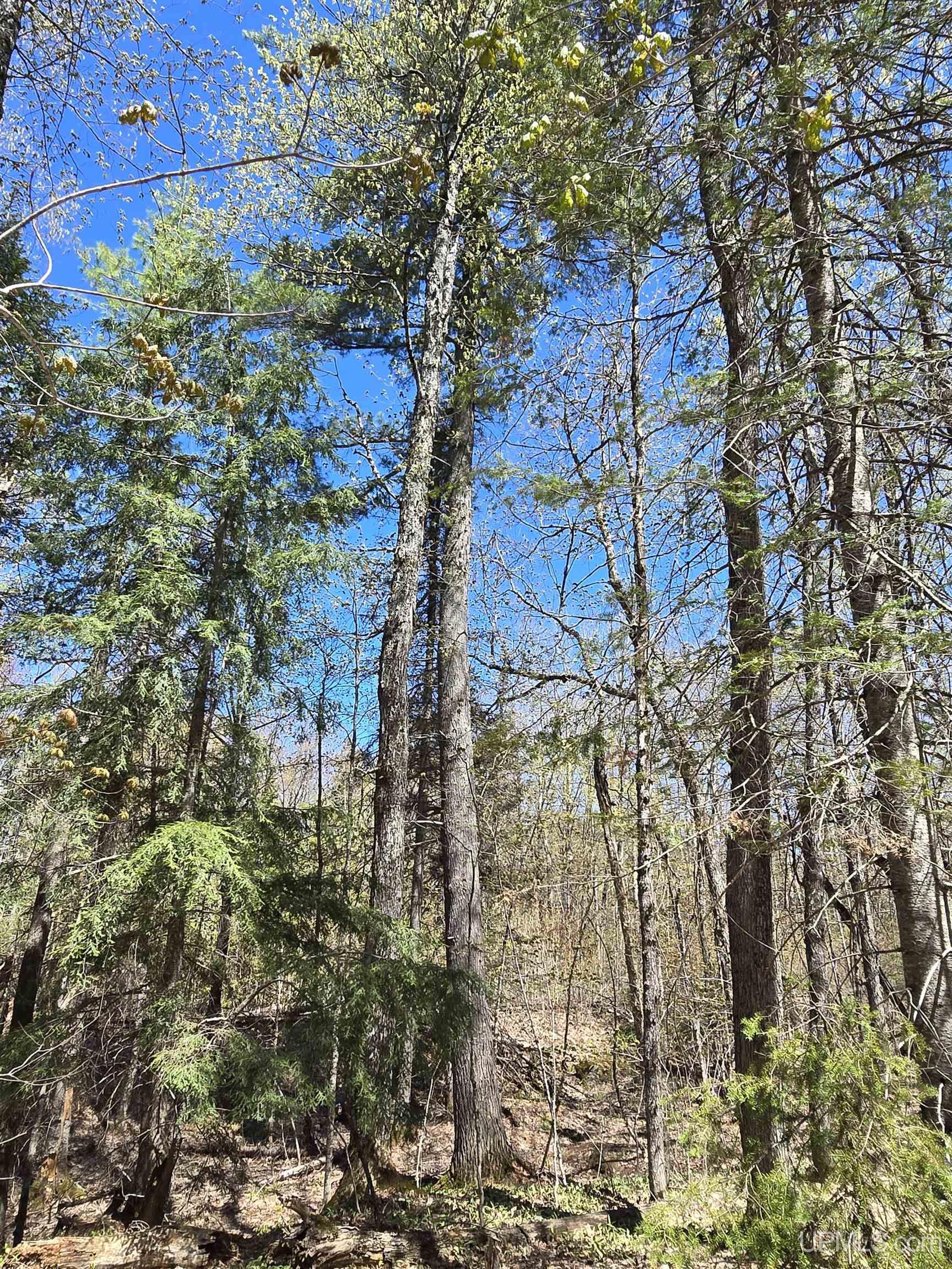 Tbd Murphy Road Property Photo 25