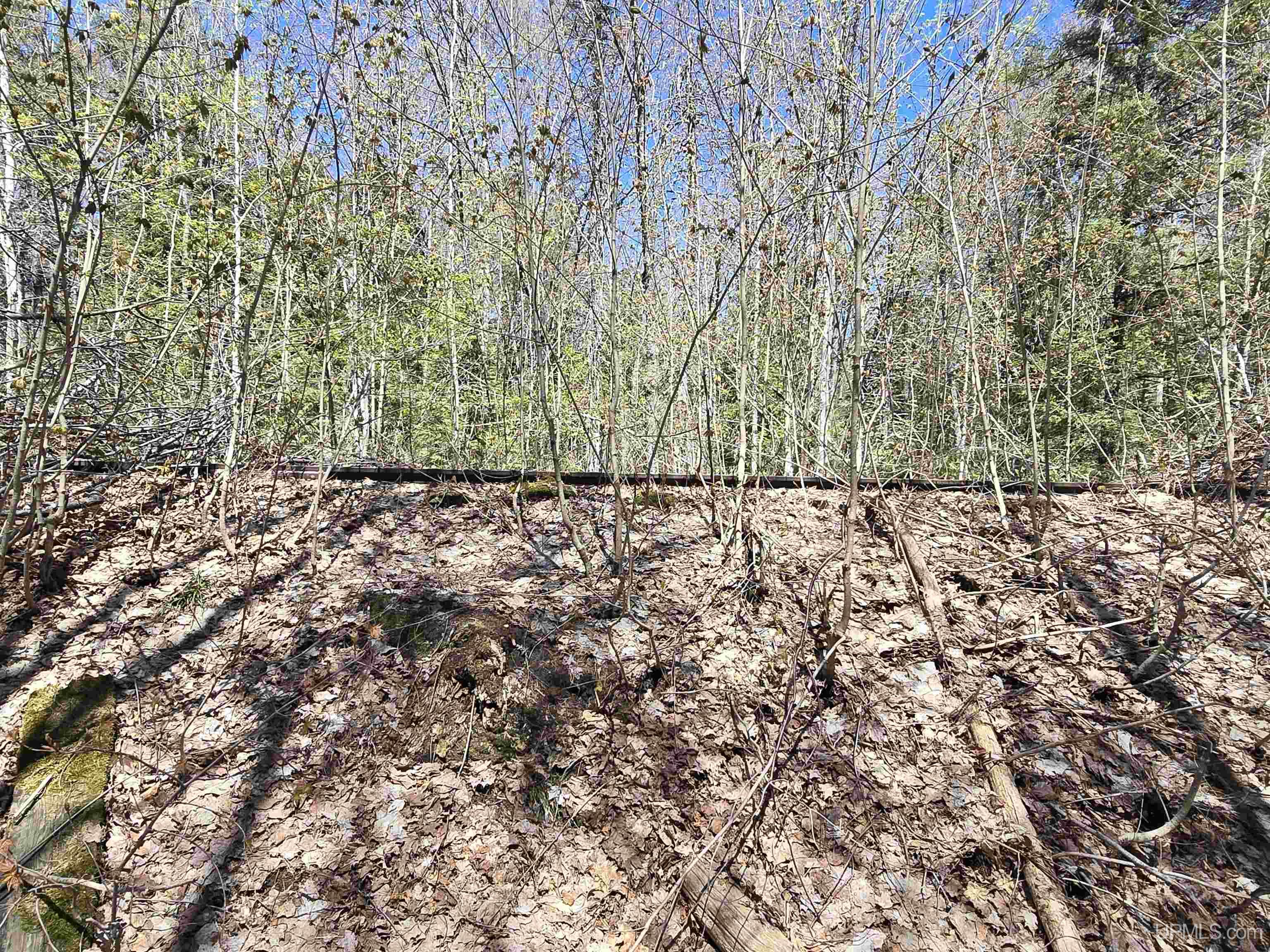 Tbd Murphy Road Property Photo 26