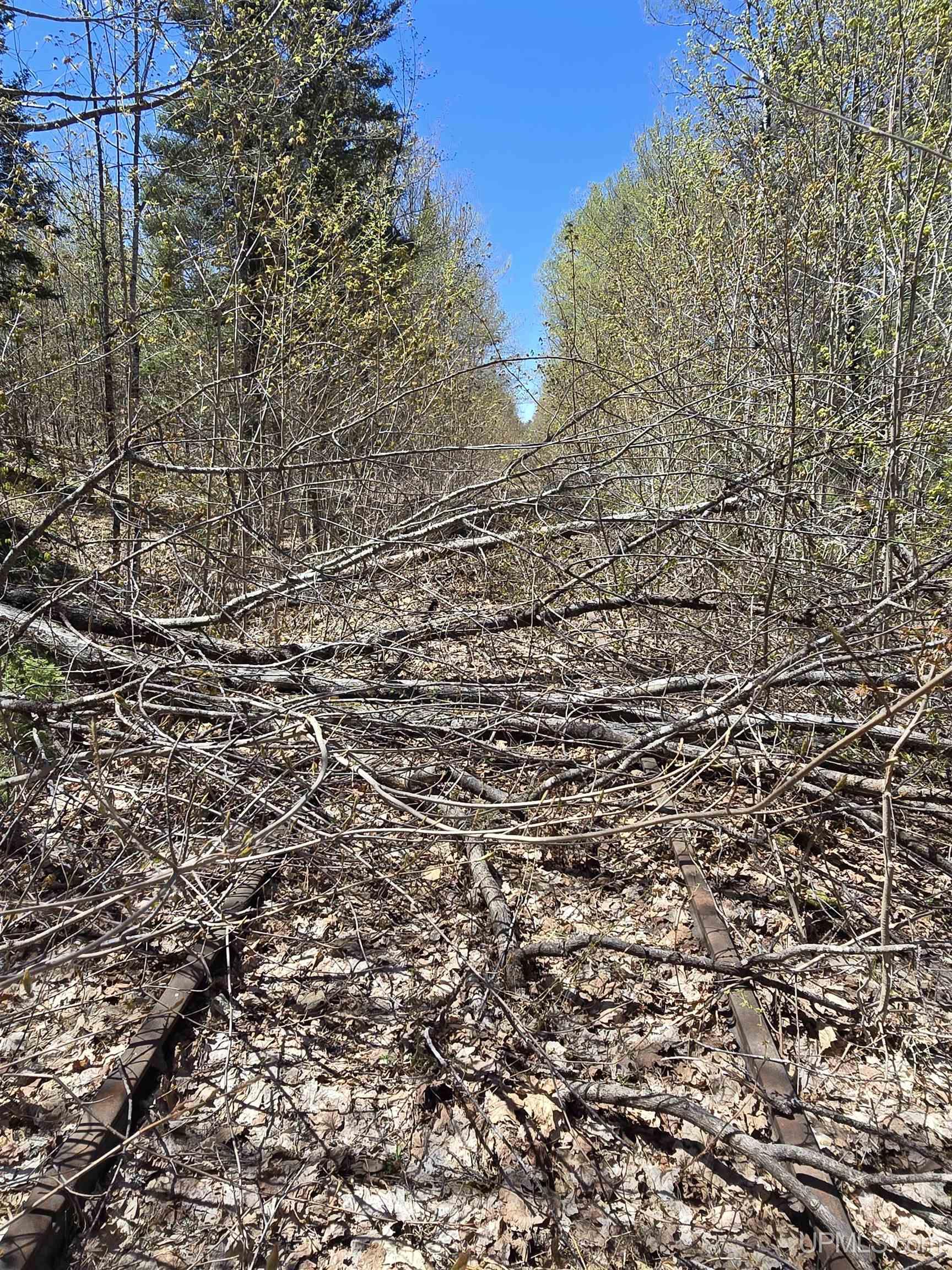 Tbd Murphy Road Property Photo 27