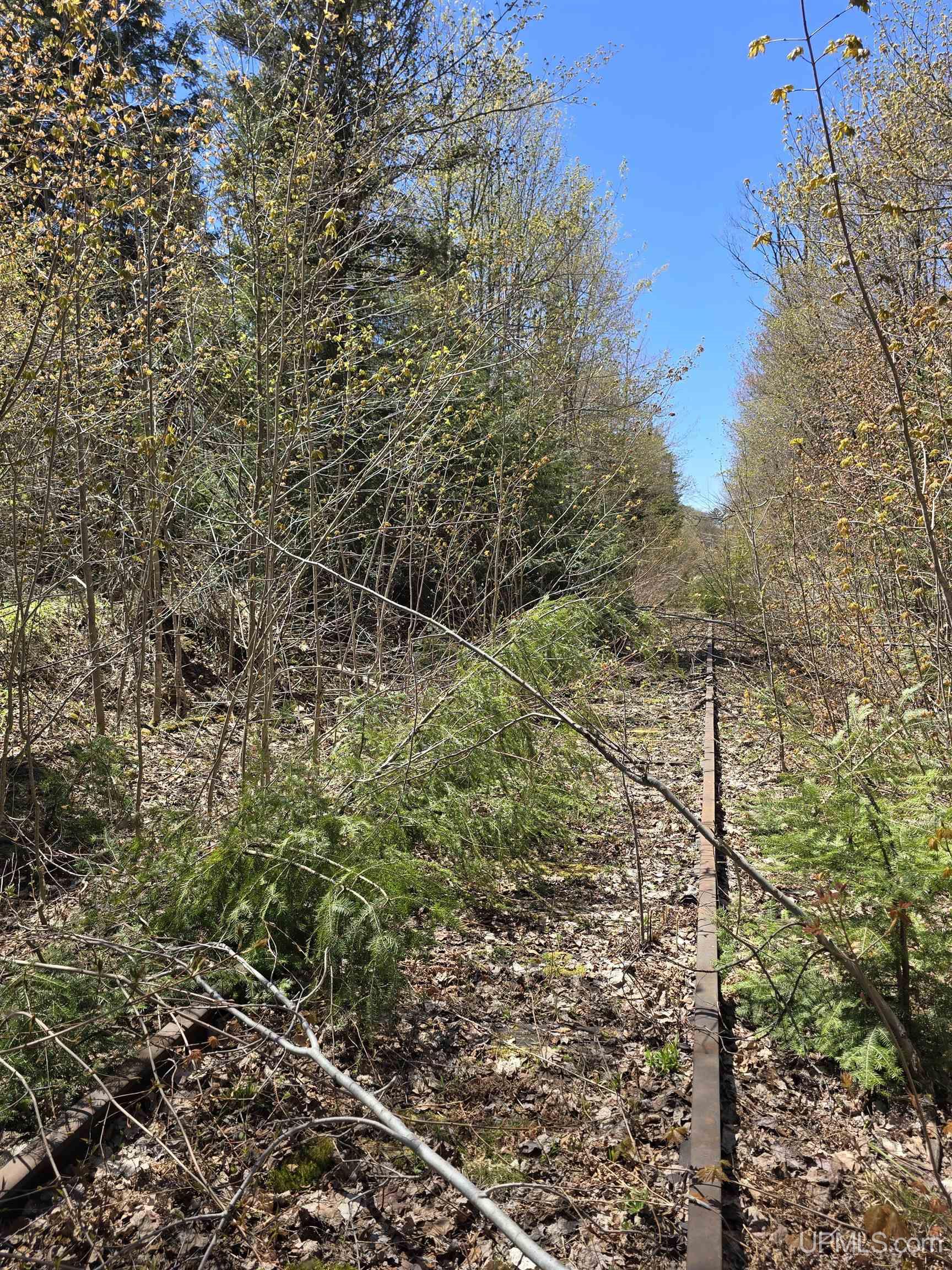 Tbd Murphy Road Property Photo 28