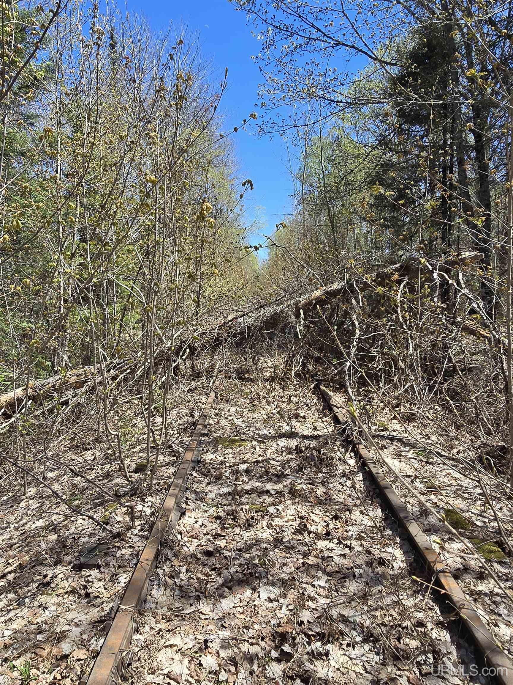 Tbd Murphy Road Property Photo 29