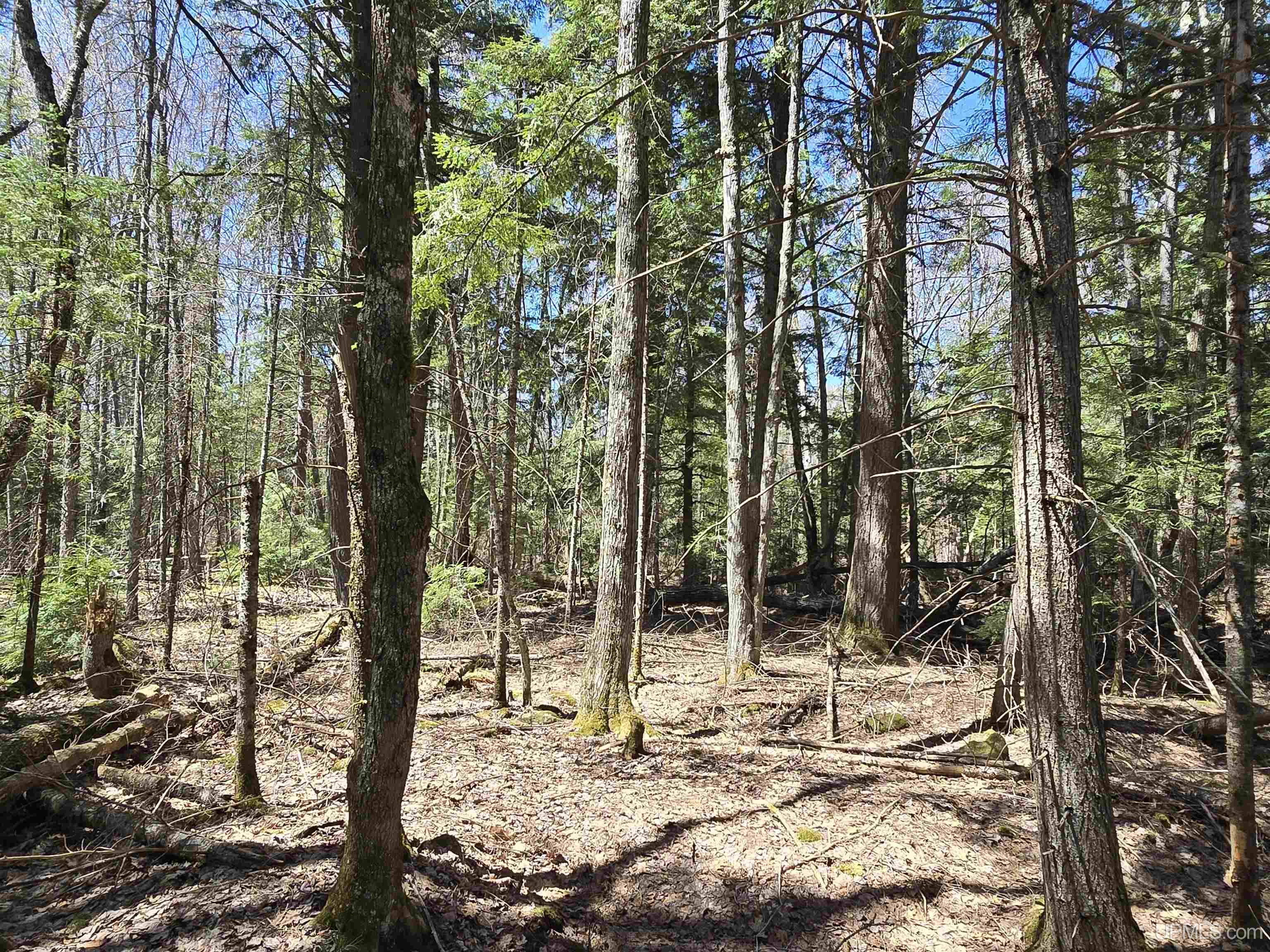 Tbd Murphy Road Property Photo 30